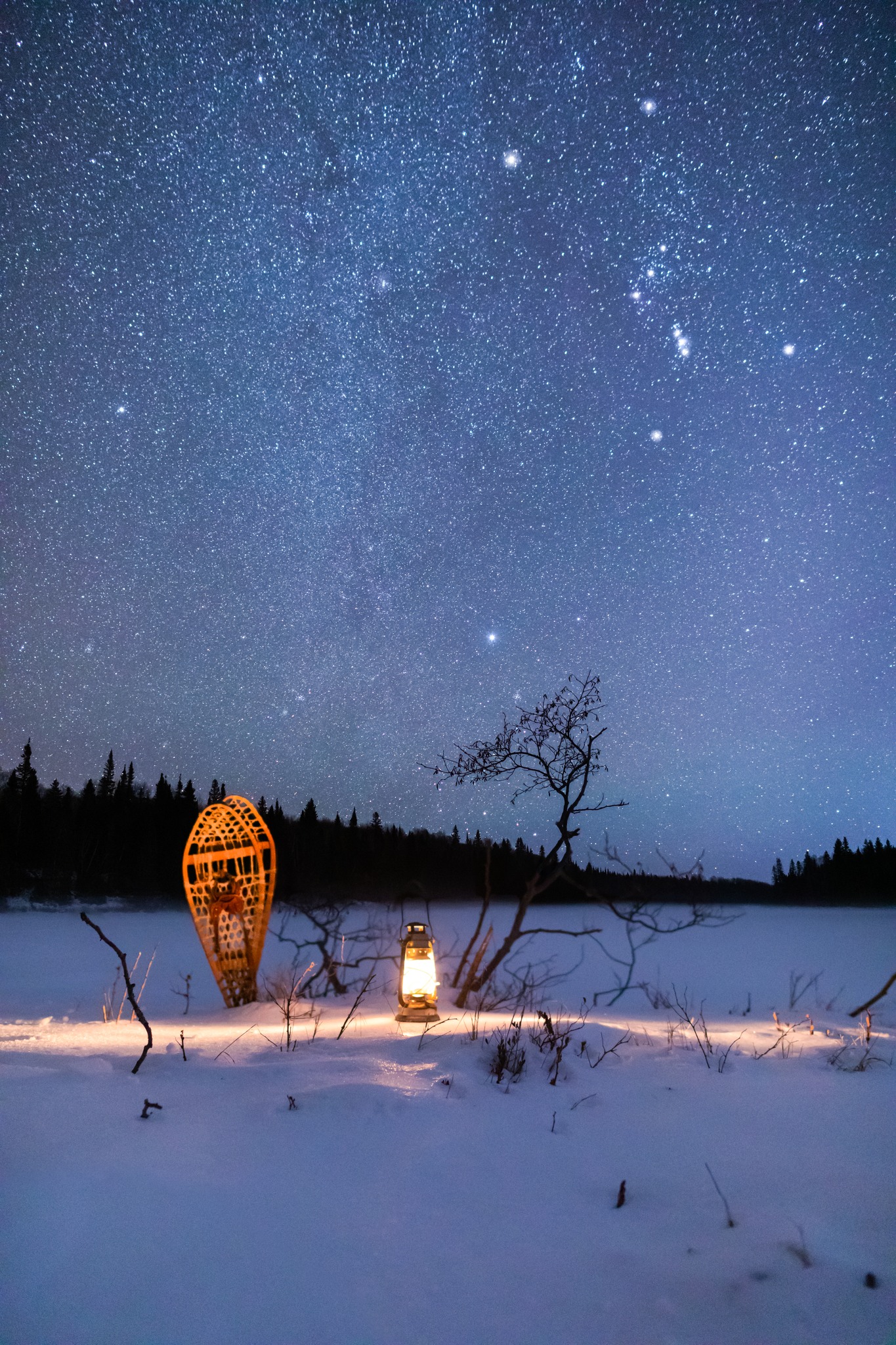 Thunder Bay Ontario night sky in the winter with snow and a snowshoe in the foreground. 