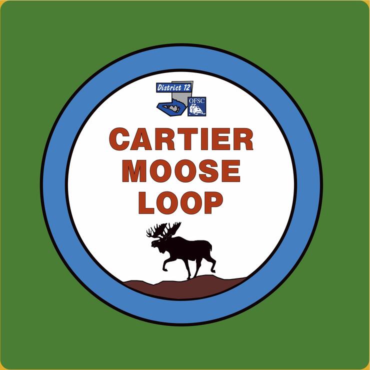 Cartier moose loop light blue