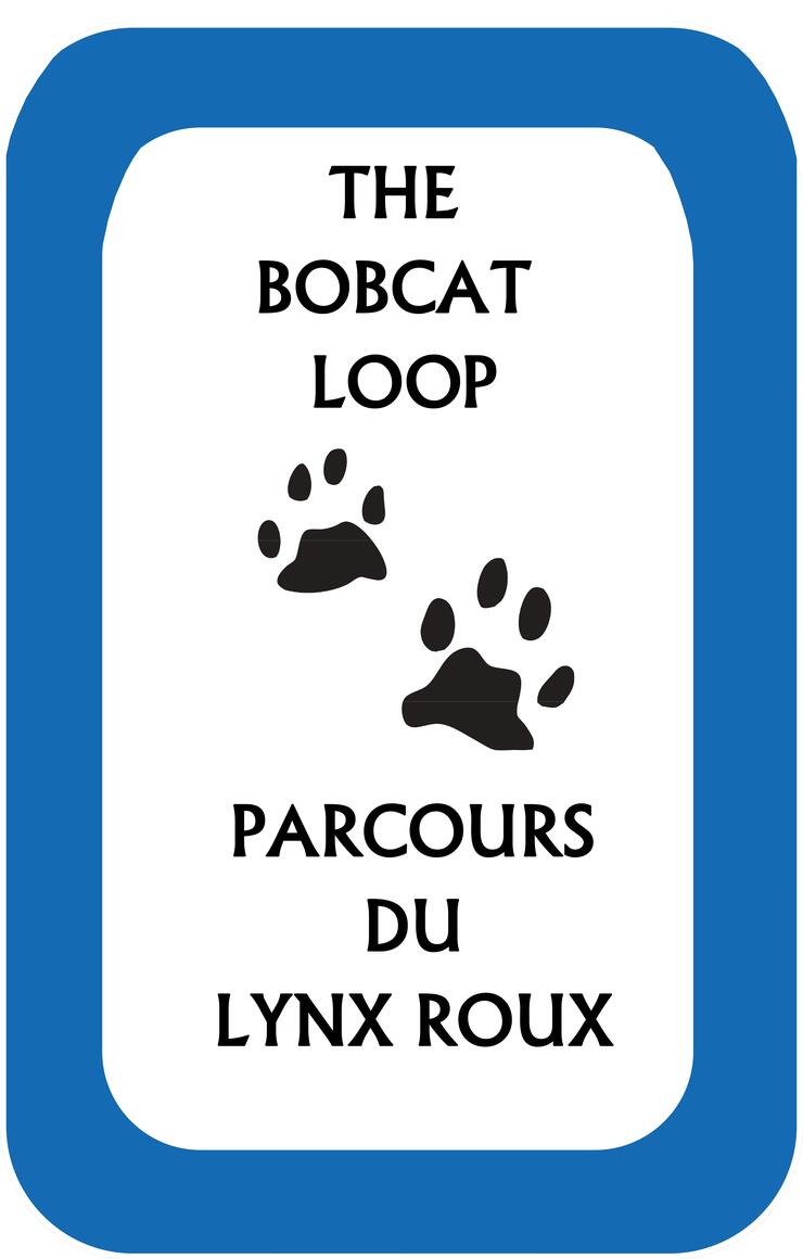 bobcat loop