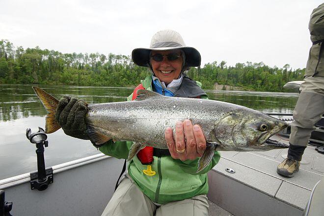 Happy angler her Nipigon river salmon
