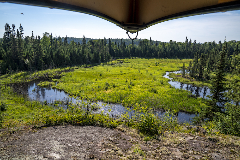 View from under a canoe looking down on a wetland