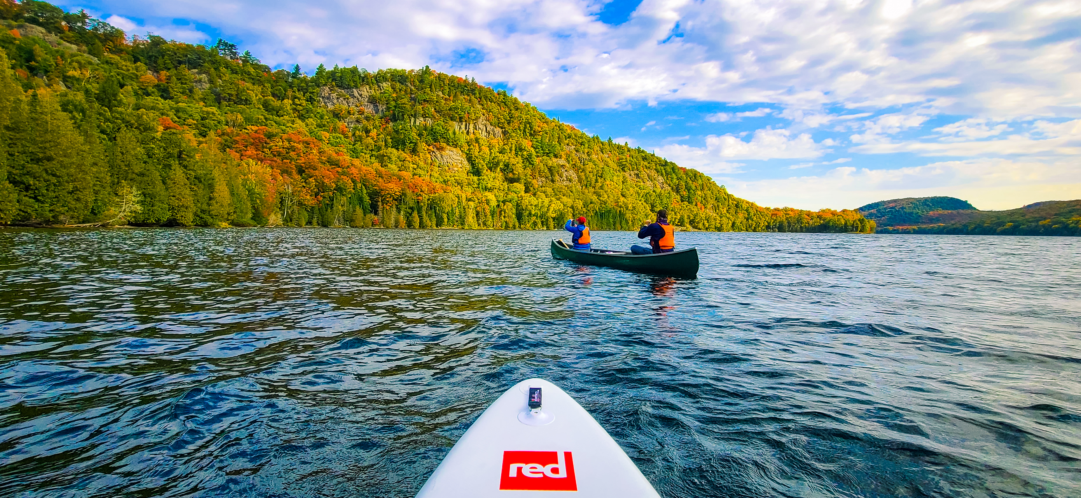 forest-the-canoe-fall-tour