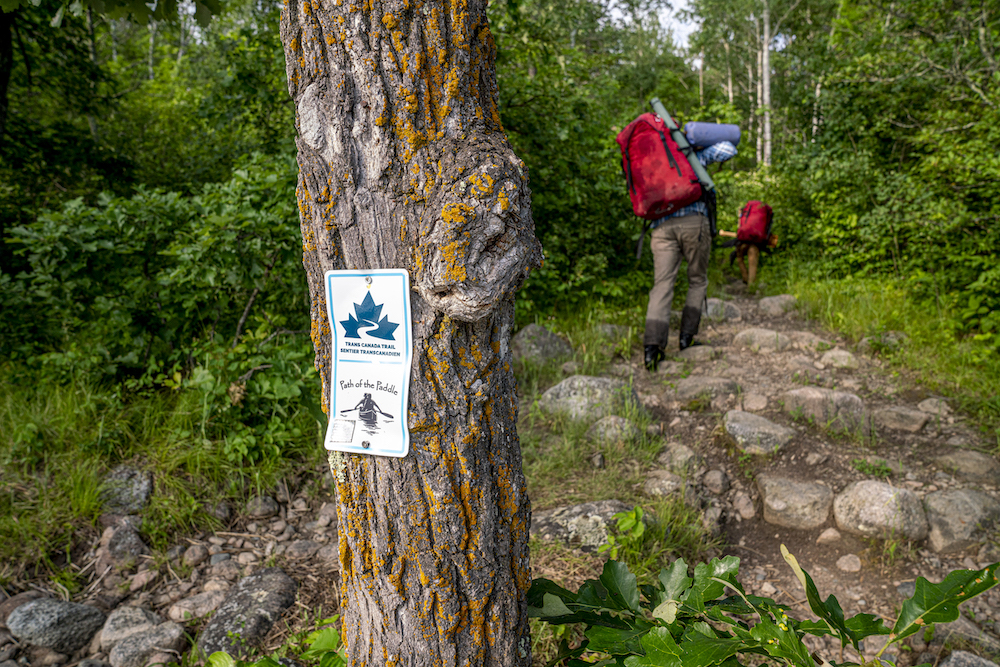 Trans Canada Trail and Path of the Paddle signage nailed to a tree as people portage in background.
