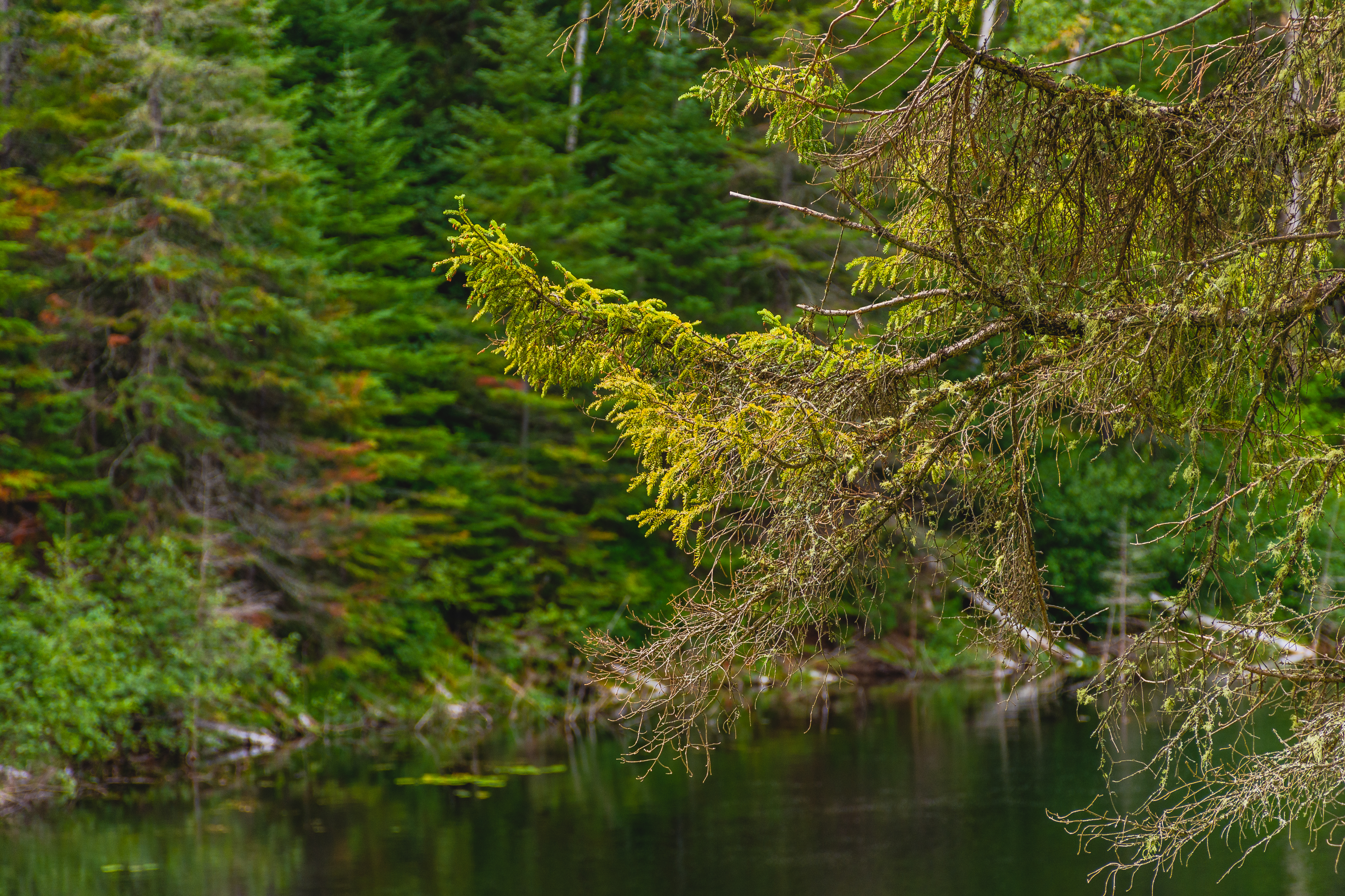 Photo of Slab Lake 