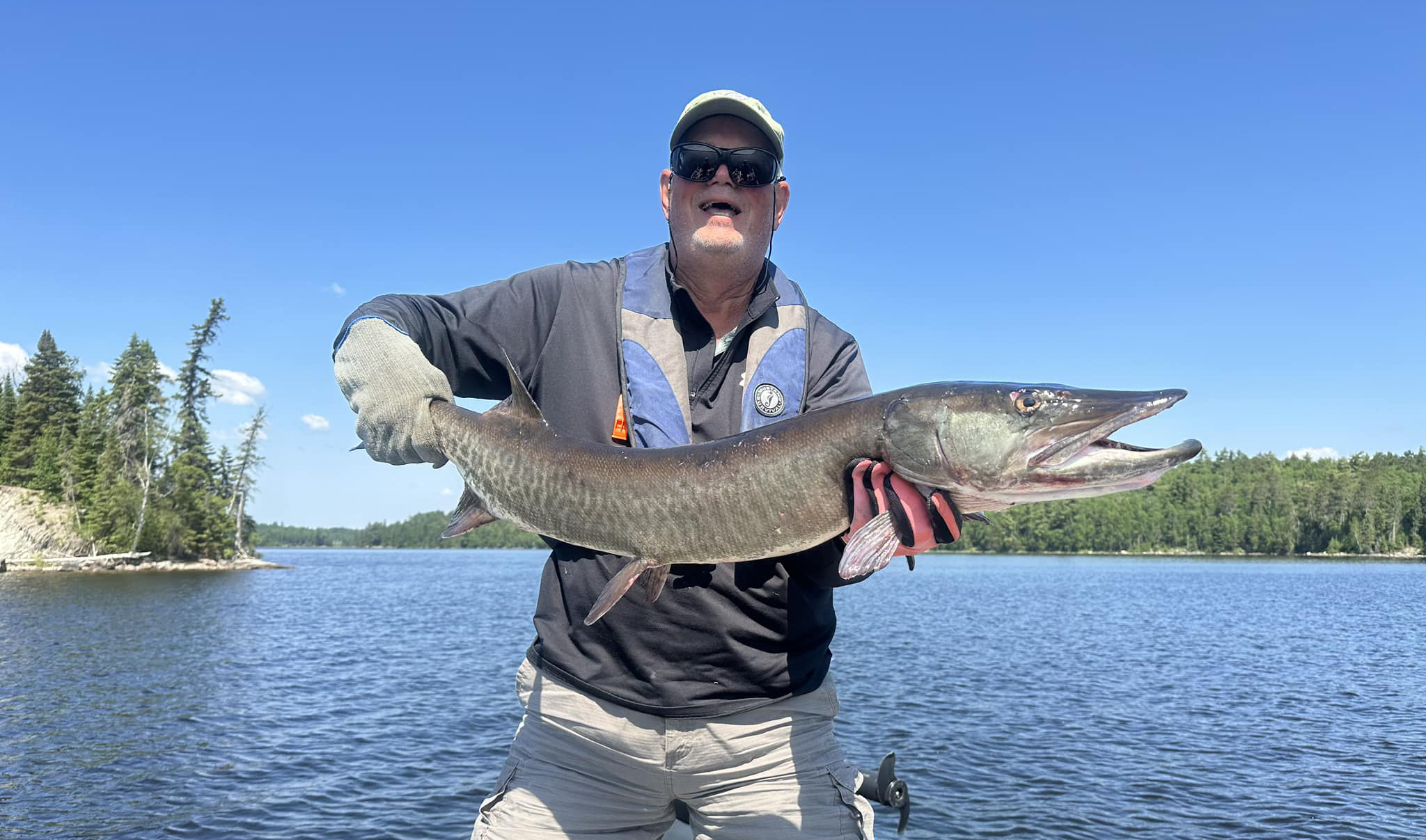44 inch muskie caught on cedar lake