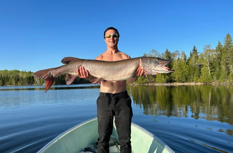 51 inch muskie on big vermilion lake