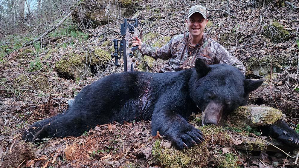 bear hunt success