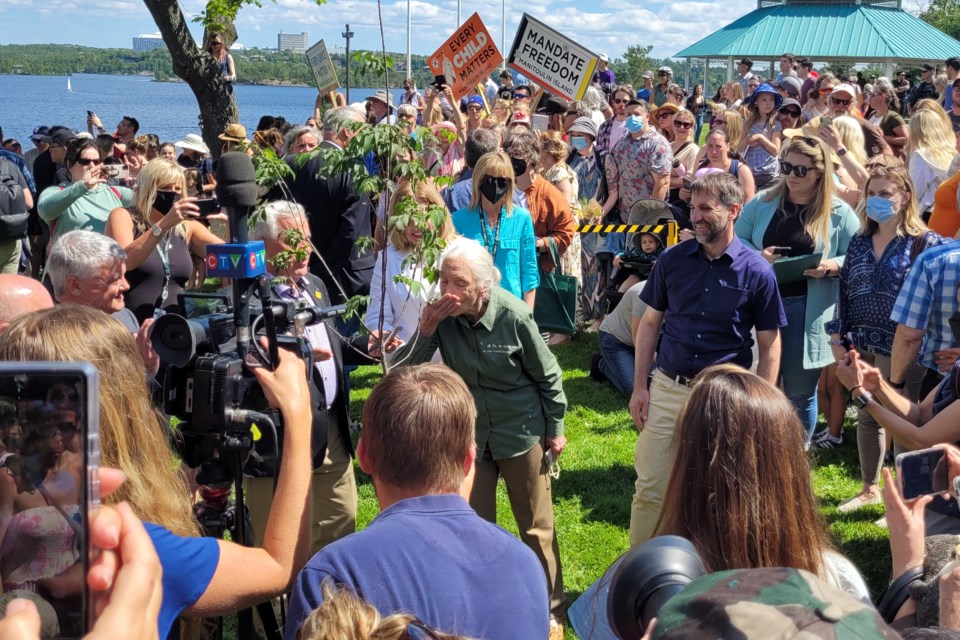 Jane Goodall planting a tree in Bell Park, surrounded by a crowd of fans and reporters with news cameras