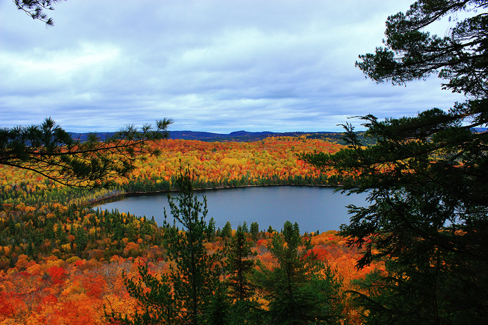 Get a stunning vantage of the fall colours from the Helenbar Lookout