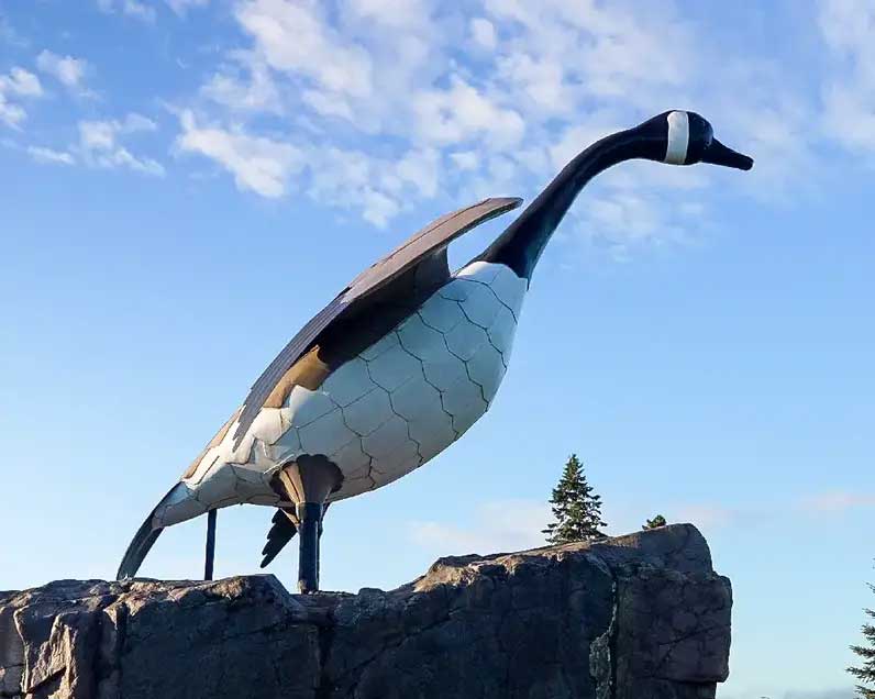 Wawa-Goose