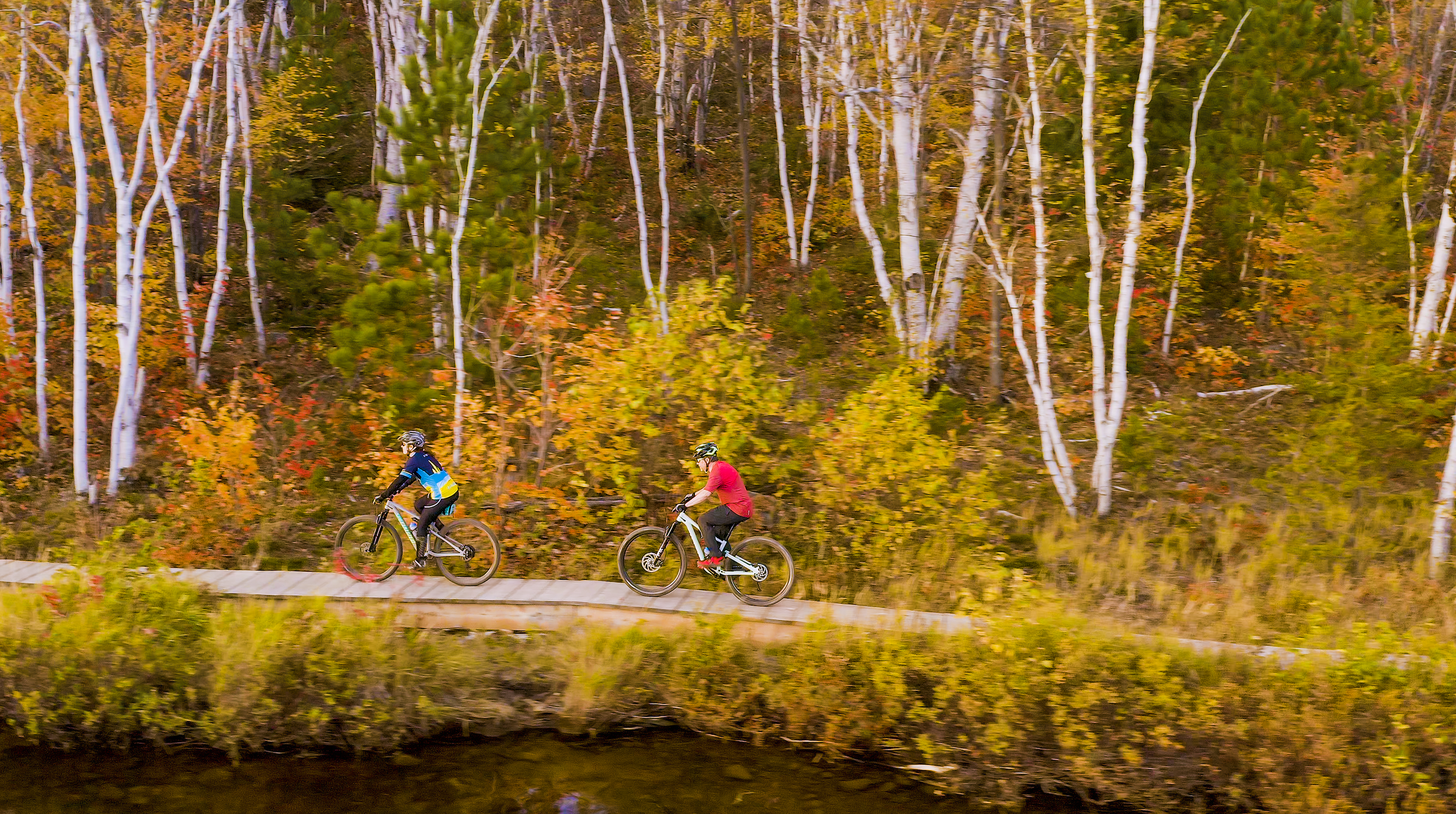 2 cyclists on a bike path in a forest in Sudbury