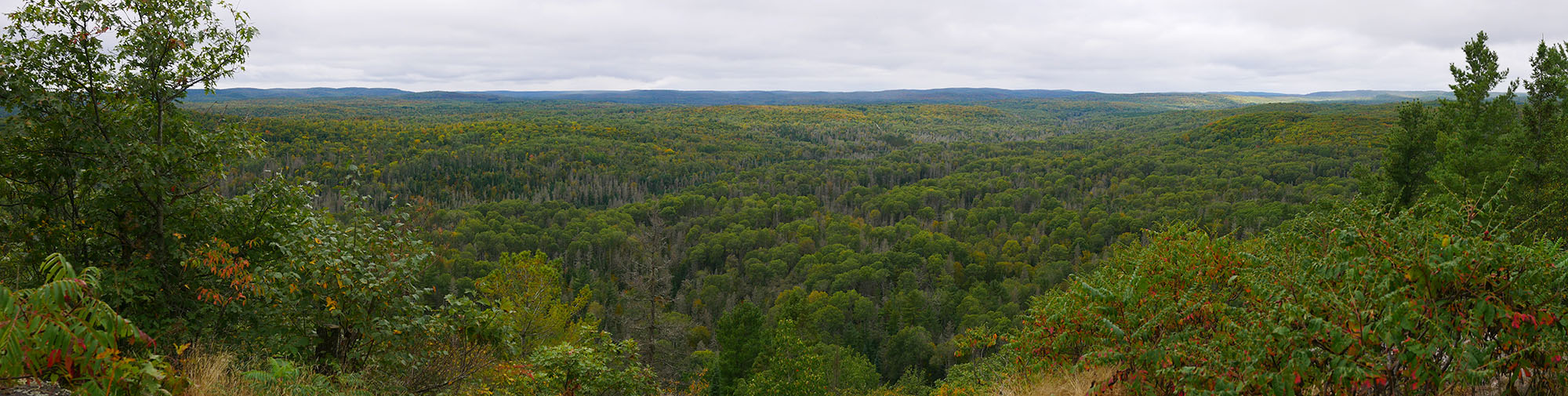 panorama view of a lush green forested valley under a cool grey sky