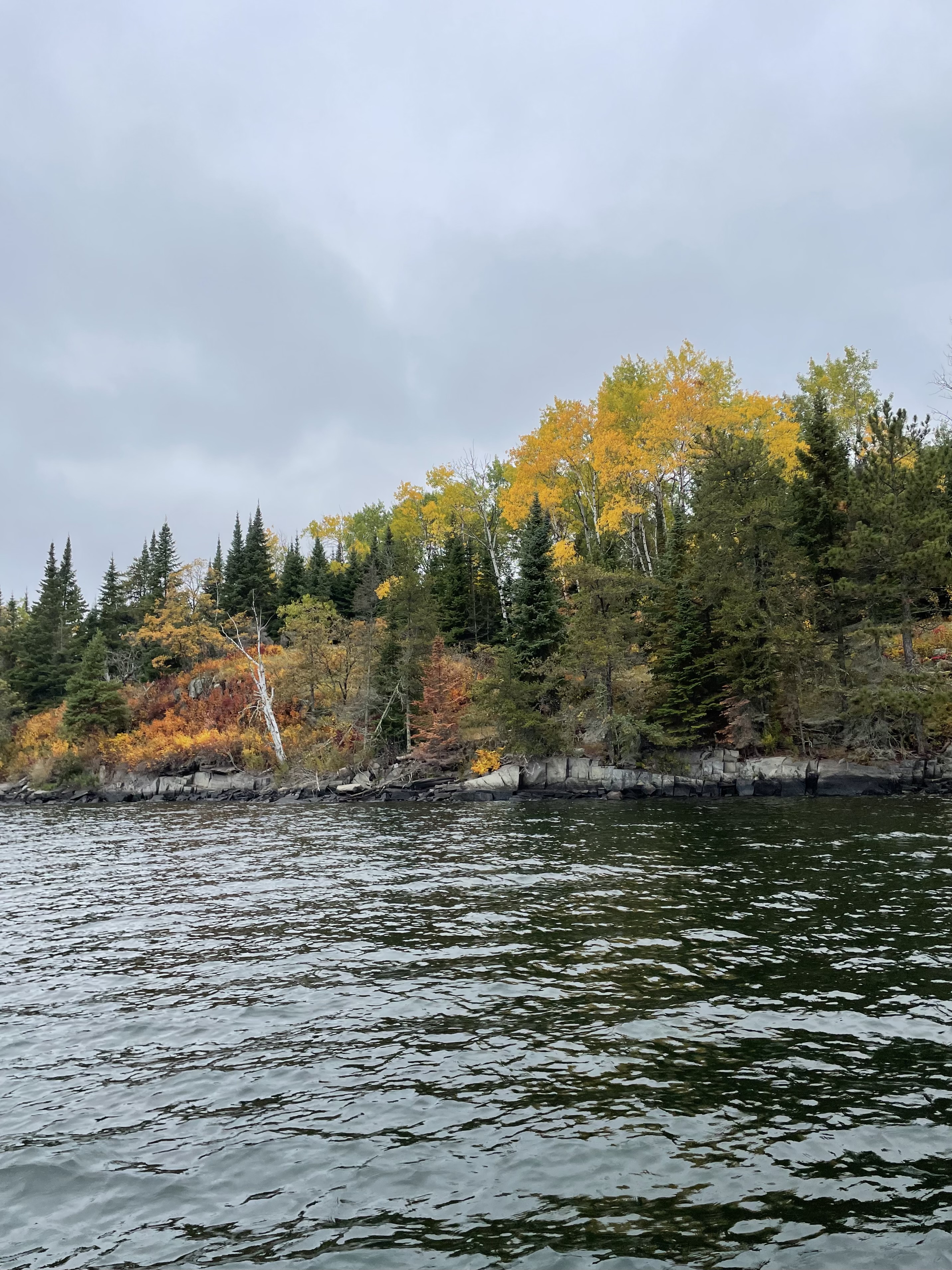 Fall colour transition on the Canadian Shield rocks