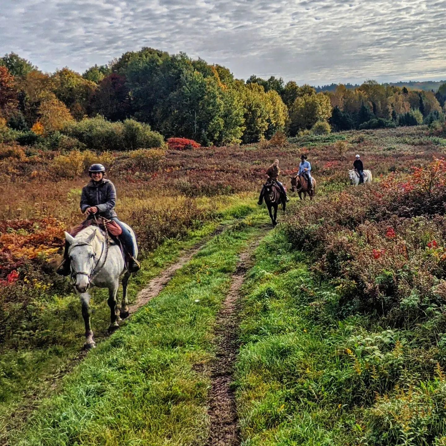 4 people on horseback ride through a green field with brightly coloured autumn trees in the background.