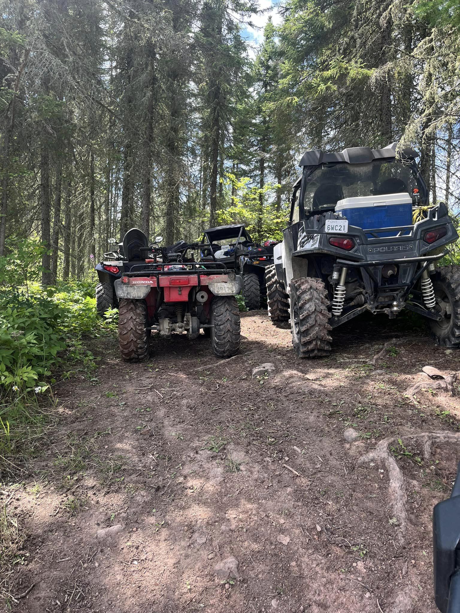 ATVs in the trees
