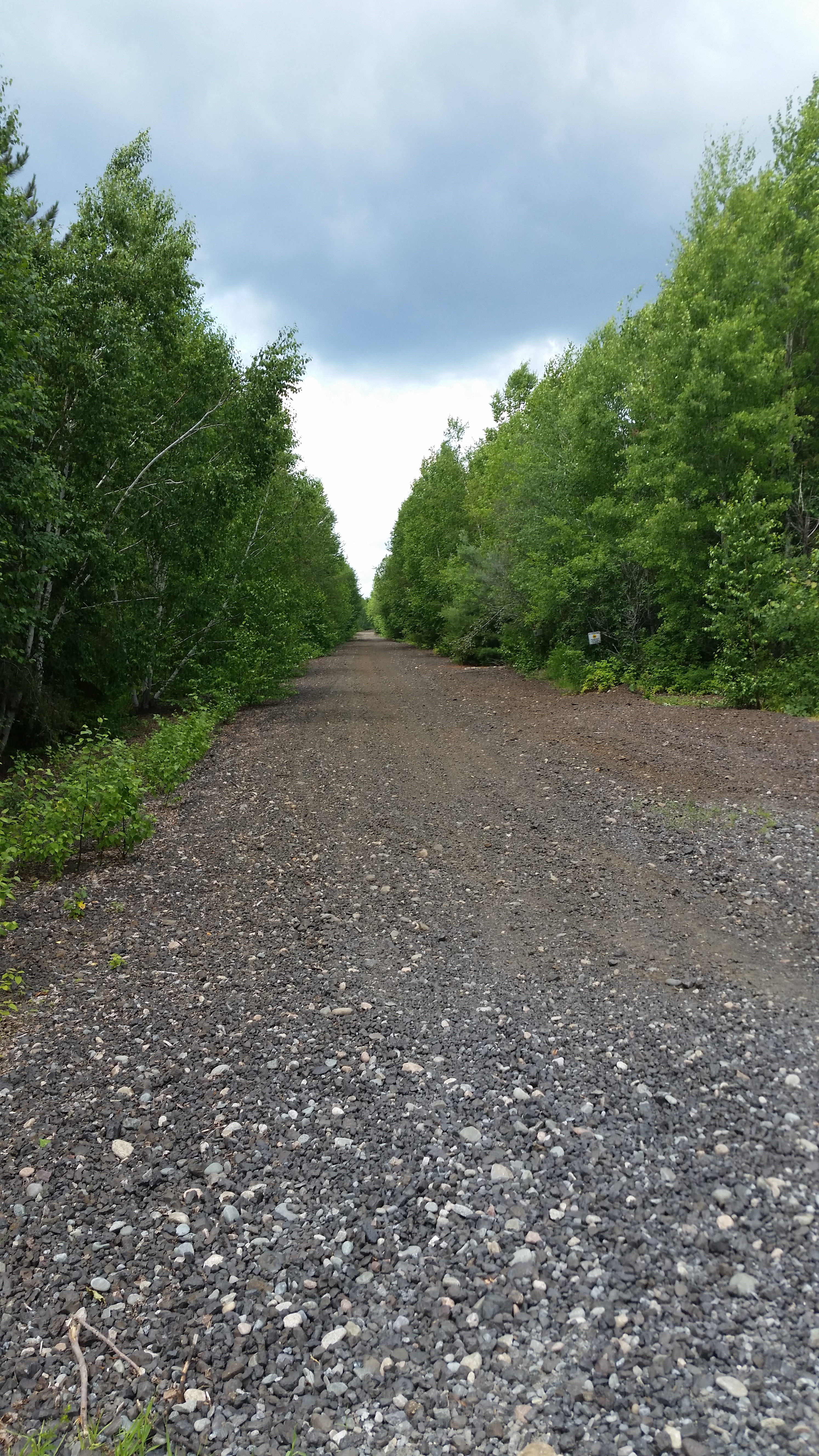 A grey gravel road from the old town of Desaulniers, stretching into the distance, lined on both sides by thick walls of green foliage under a grey cloudy sky