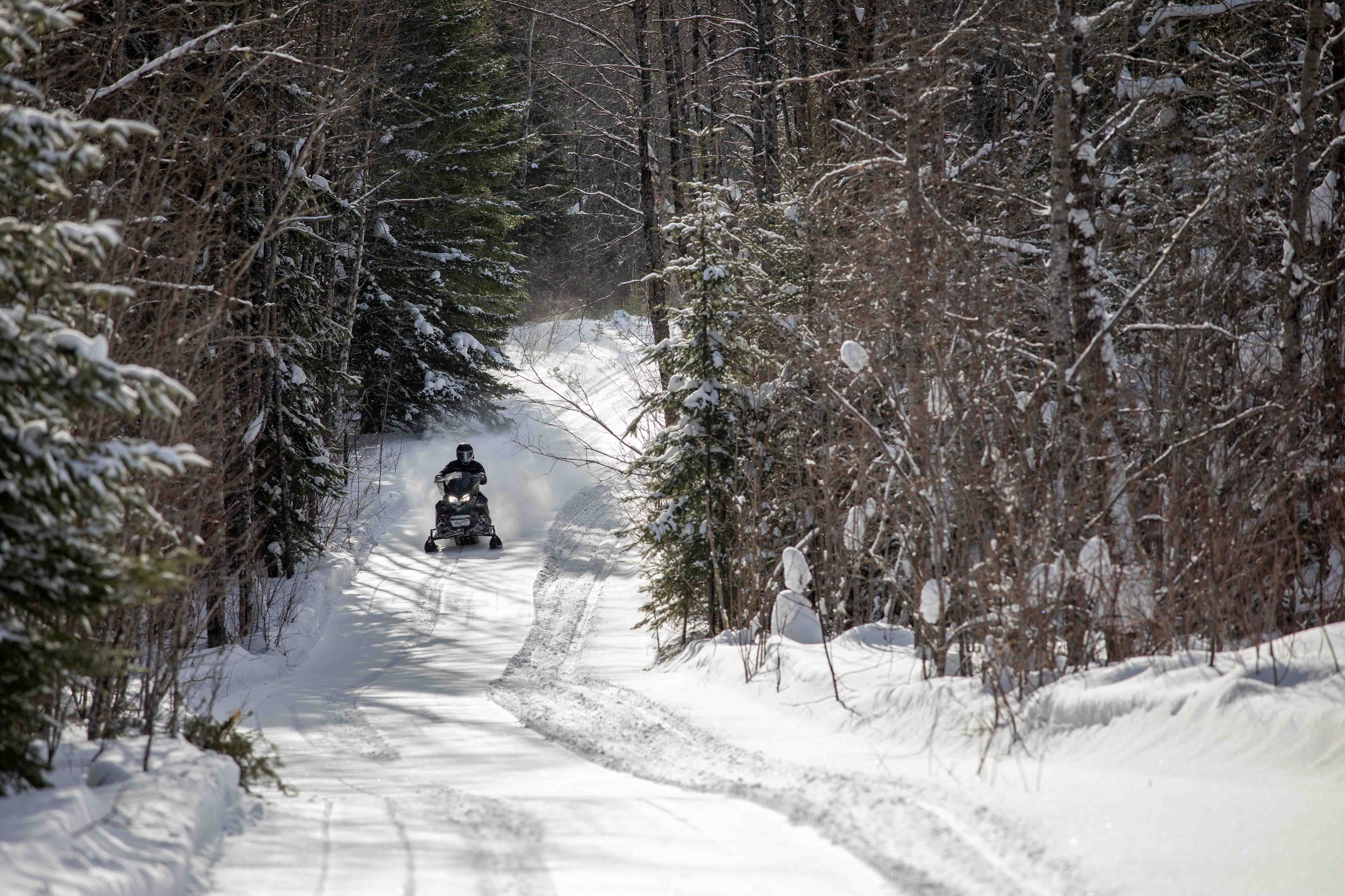 A solitary person riding a snowmobile down a snowy tail, surrounded by snow-covered spruce trees. 