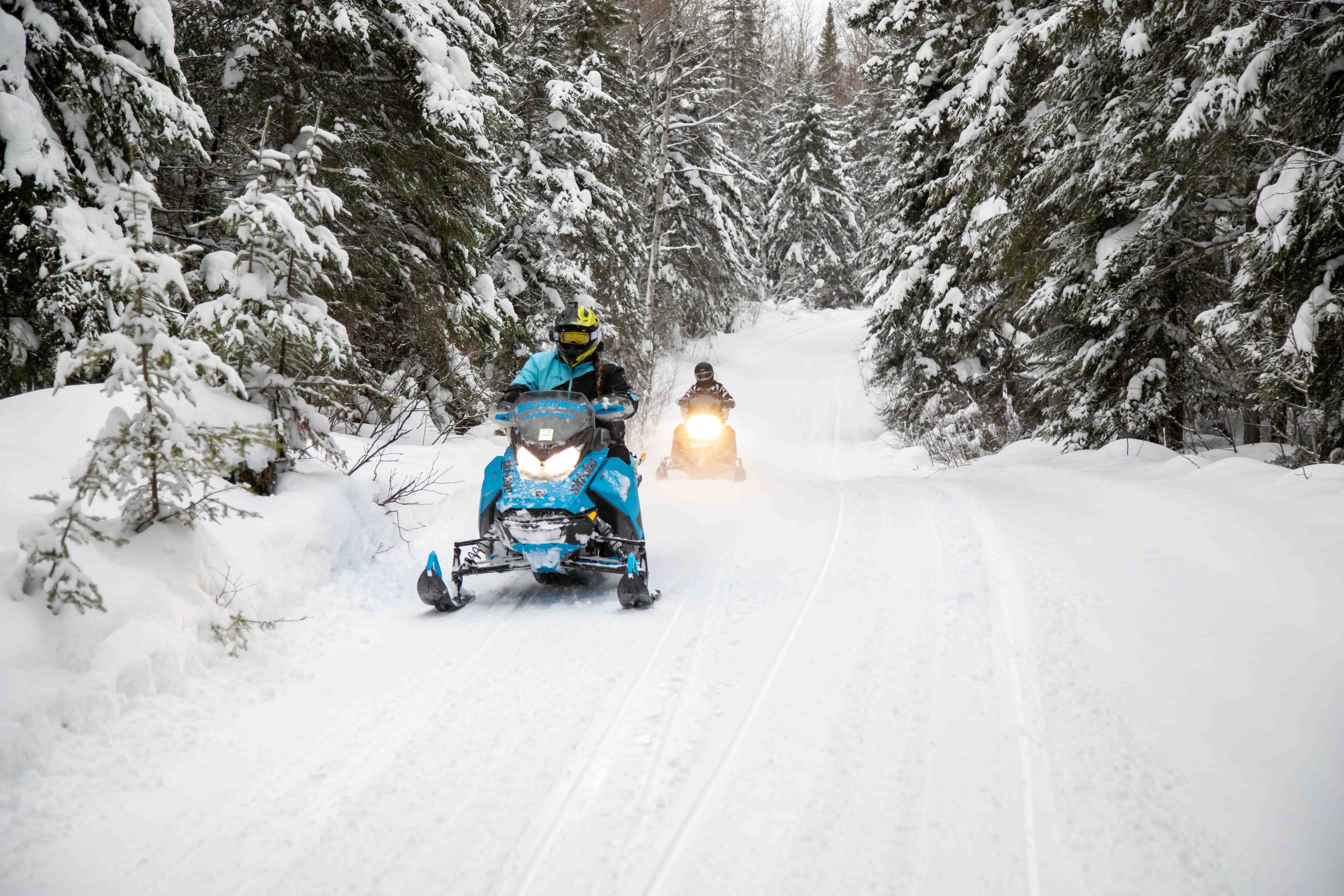 2 people on snomobiles ride a snowy trail through dense forest