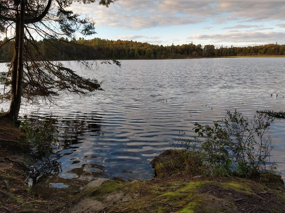 a still, clear lake at dusk, surrounded by darkening forest and grassy shore.