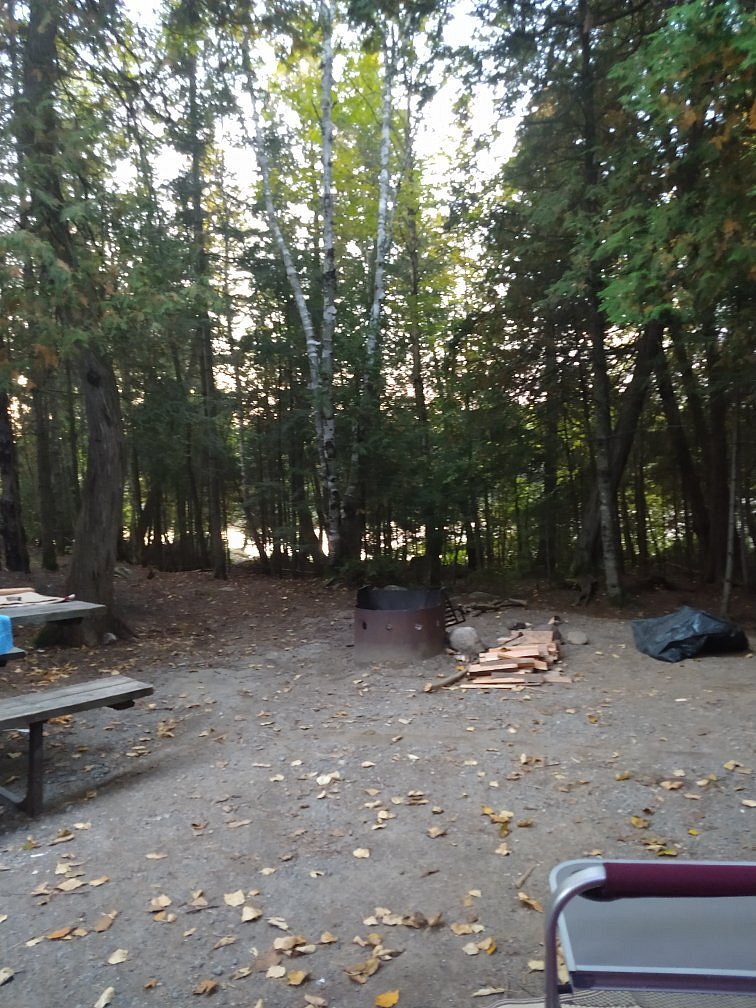 a large forest campsite with smooth ground, a picnic table and a folding chair