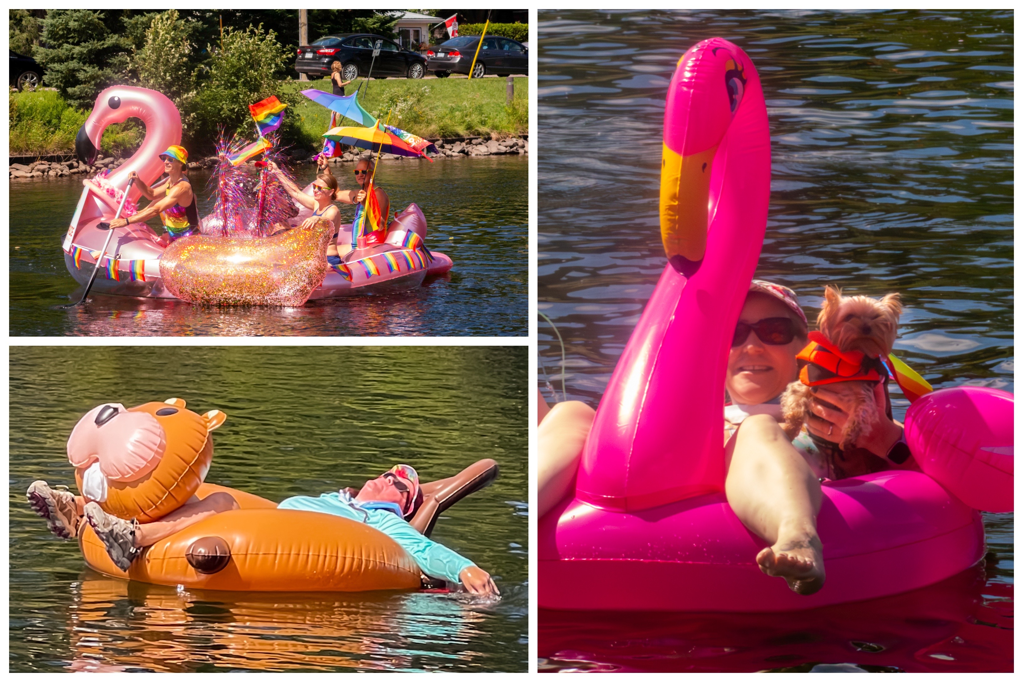 a collage of 3 photos of people happily floating down a river on large inflatable animal floats; one float shaped like a beaver and two shaped like pink flamingos