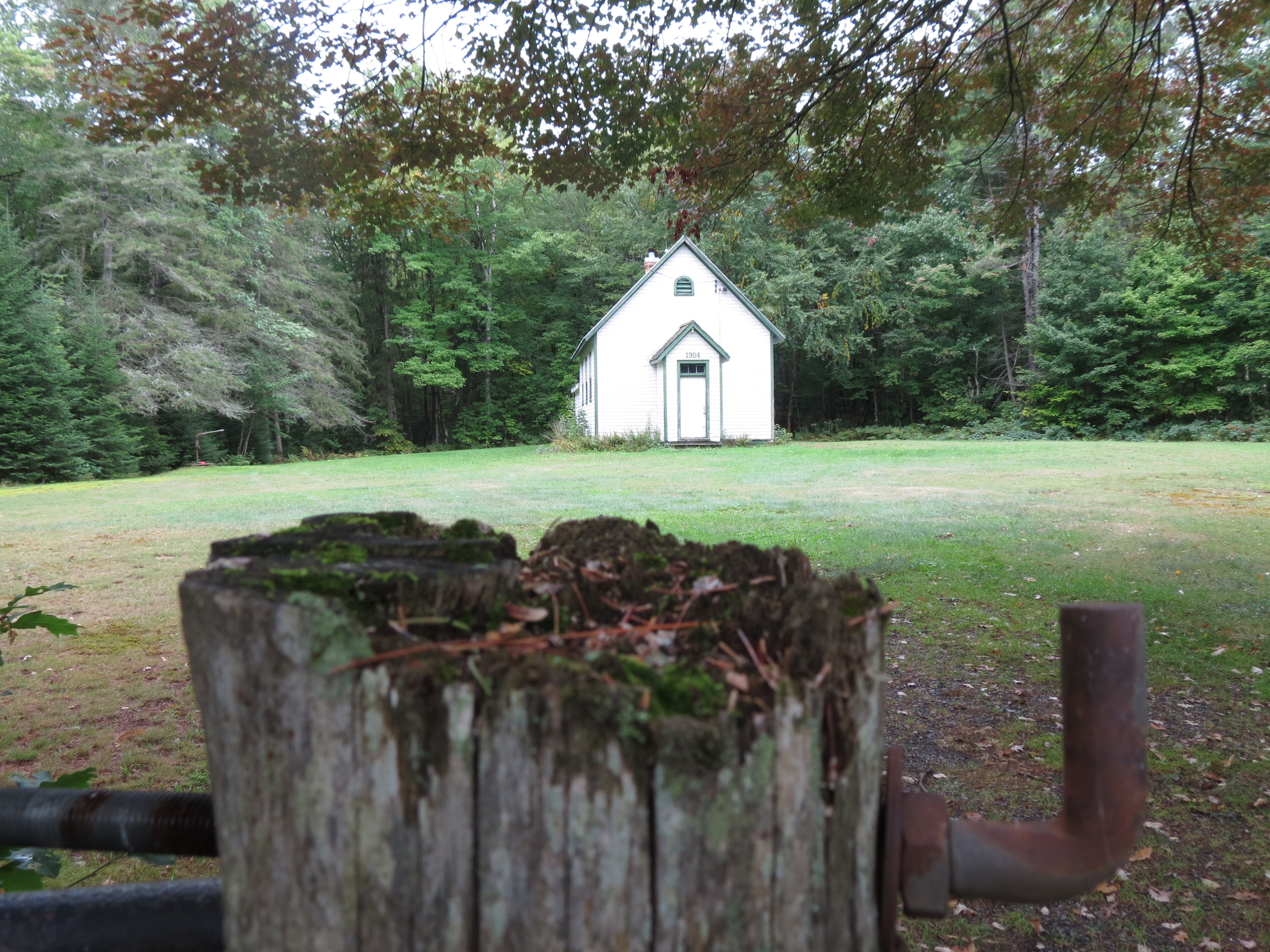 an small white early 1900s schoolhouse, surrounded by thick forest, with a mossy stump in the foreground.