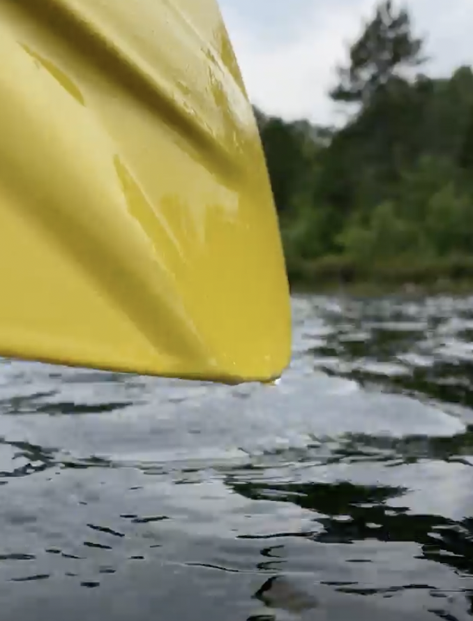 dripping kayak paddle