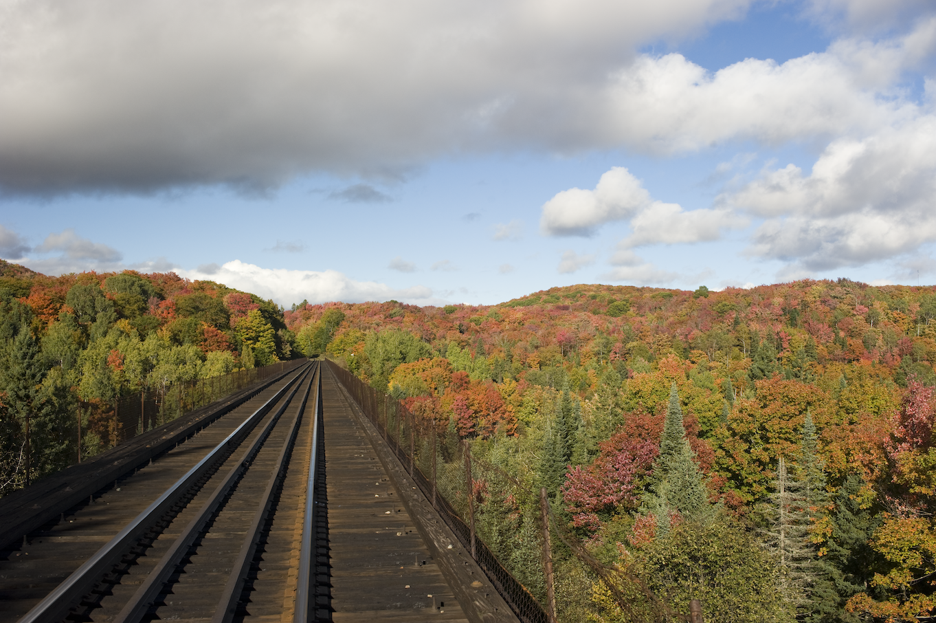 Des rails s'avancent dans une forêt aux rouges, oranges et jaunes d'automne.