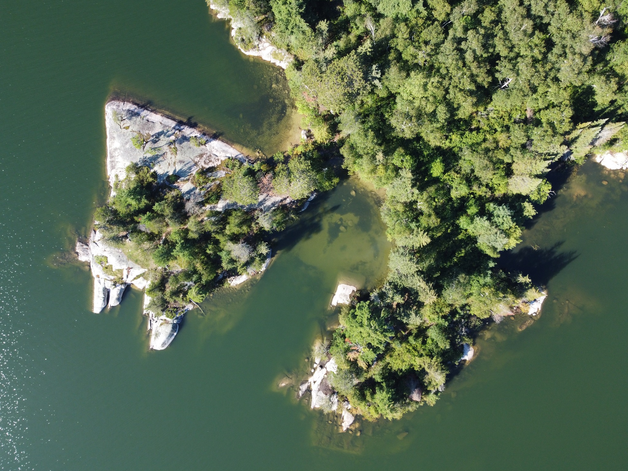 an aerial view of Tomahawk Resort; a forested island with rock shores surrounded by dark green lake water 