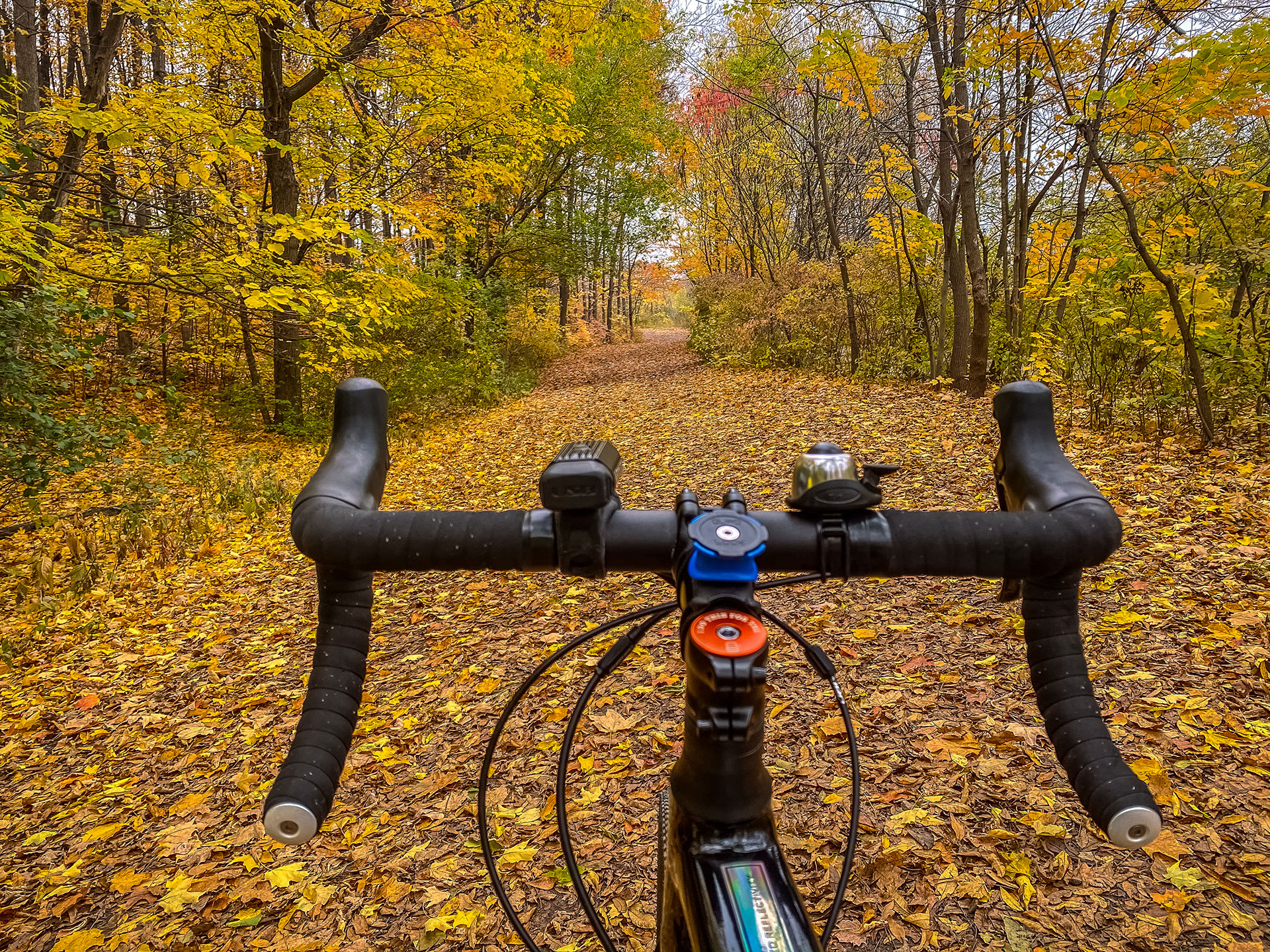 bicycle rider's POV on an autumn leaf-covered path with bright foliage surrounding