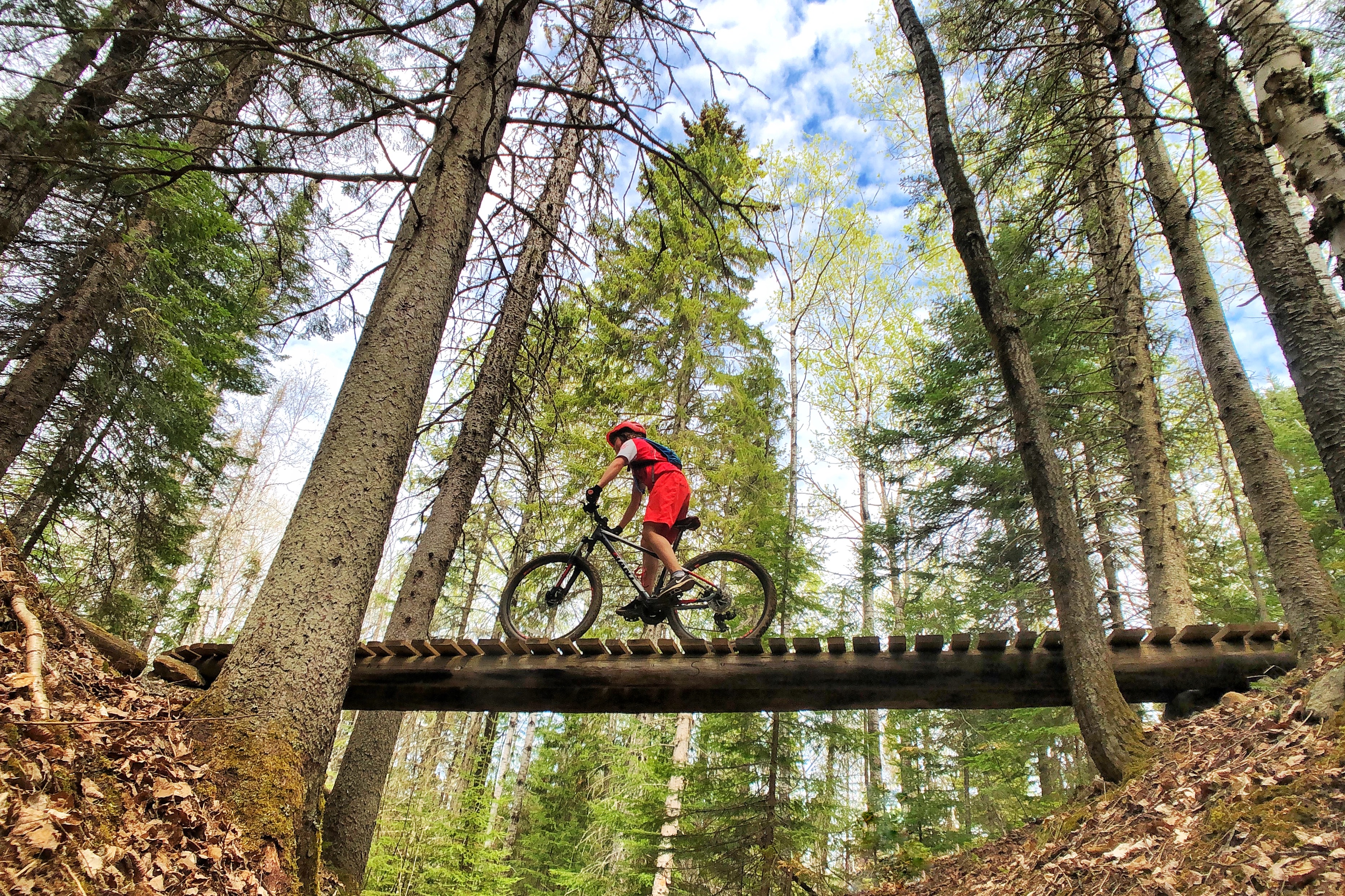 a mountain biker rides across a wooden bridge in the forest