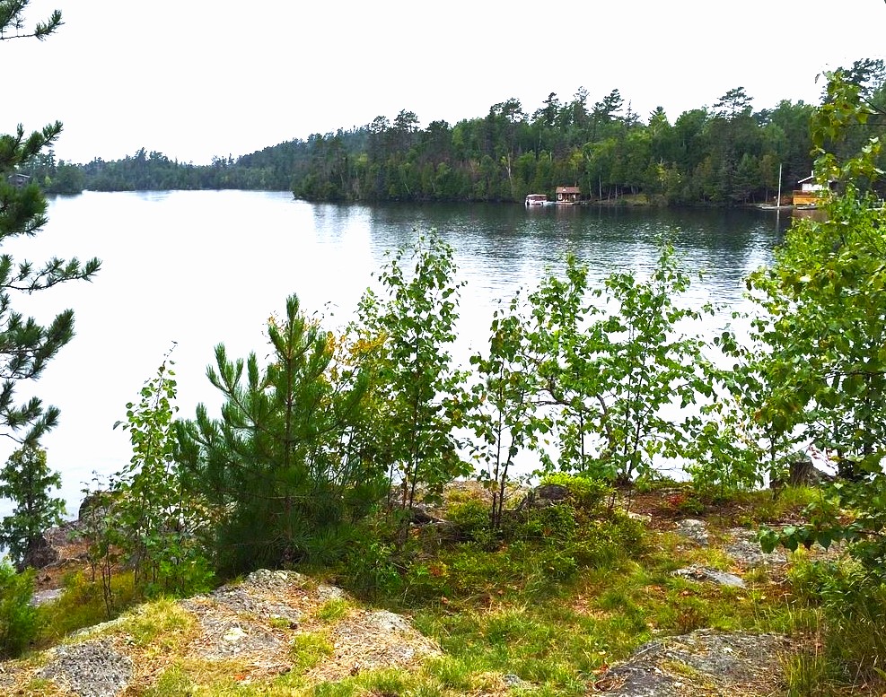 A view from Finlayson Point Provincial Park; a rocky lake shore covered in moss and green saplings, overlooking a wide lake with small cabins near the water in the distance, on the opposite forested shore.
