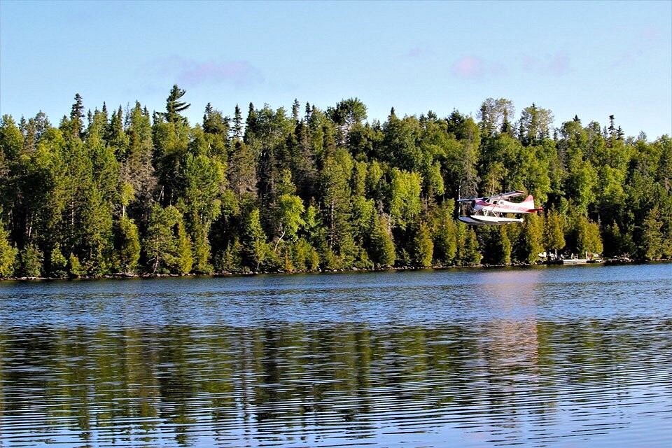 A float plane landing on Lake Temagami, in front of dense forest on the opposite bank and under a clear blue sky.