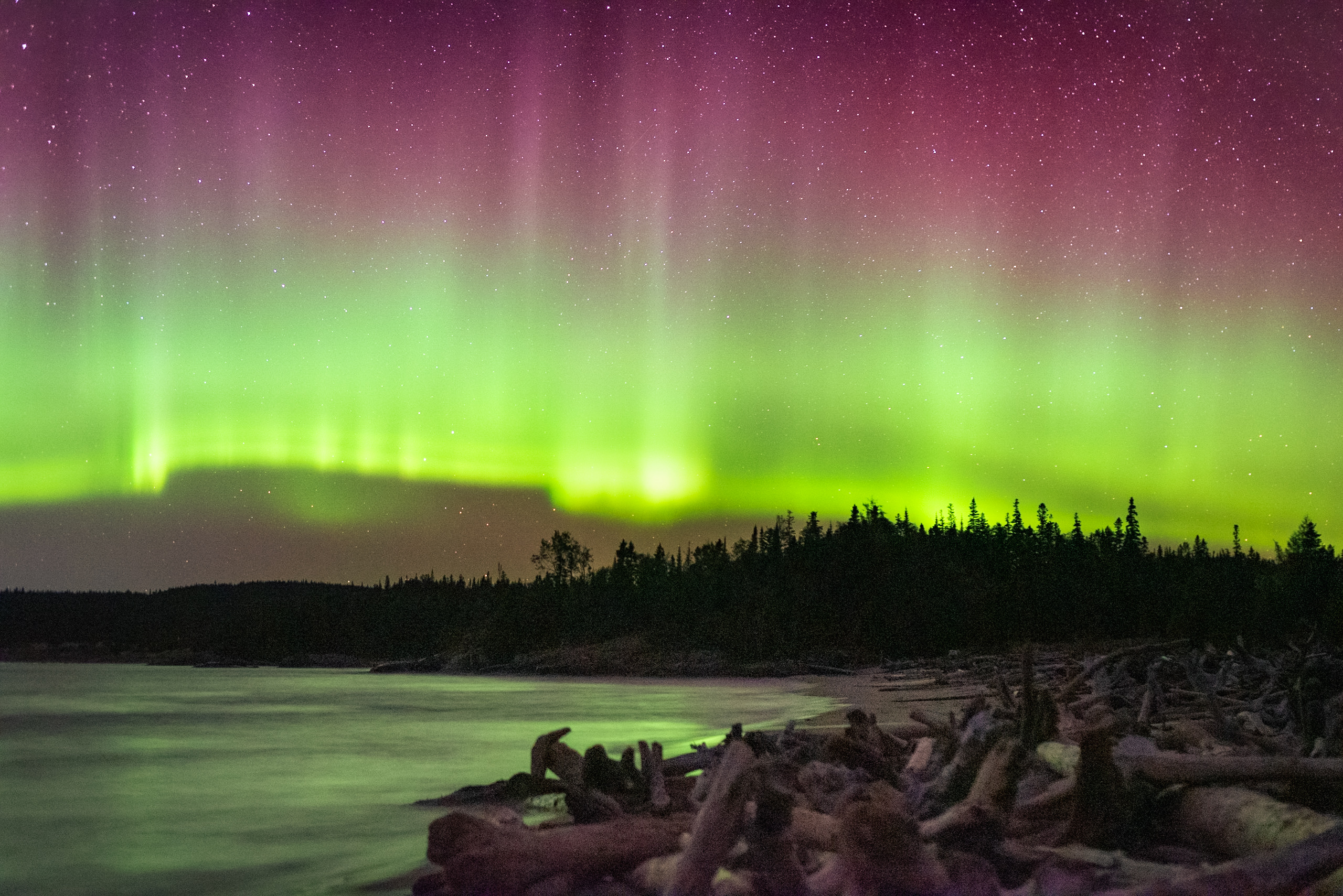 northern lights over the shore of Lake Superior in Pukaskwa National Park
