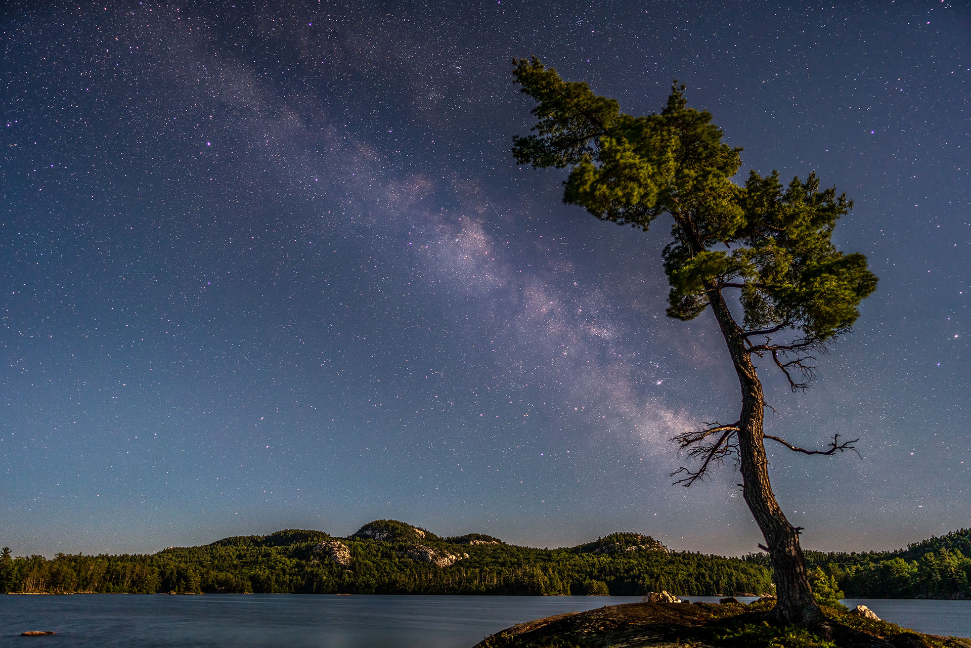 a lakeside tree in front of the milky way at night
