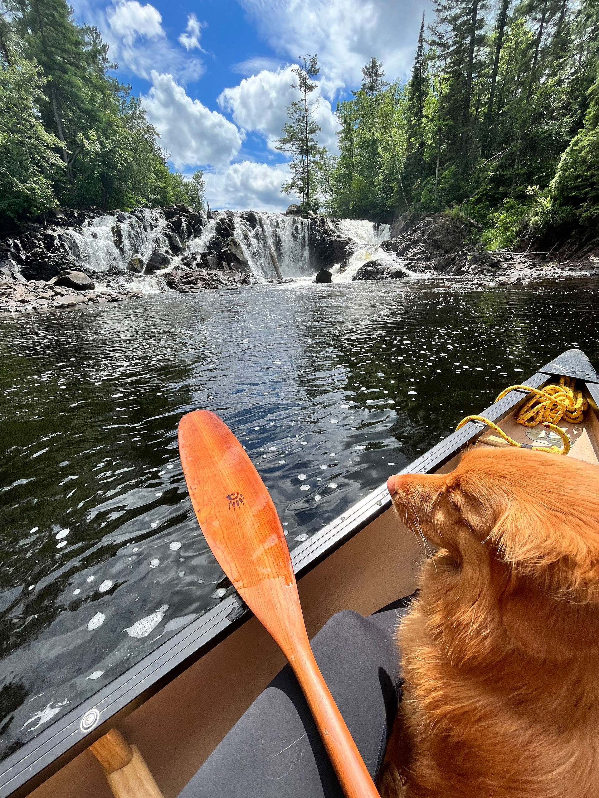 canoeing with a dog near a scenic falls on the Mattawa River