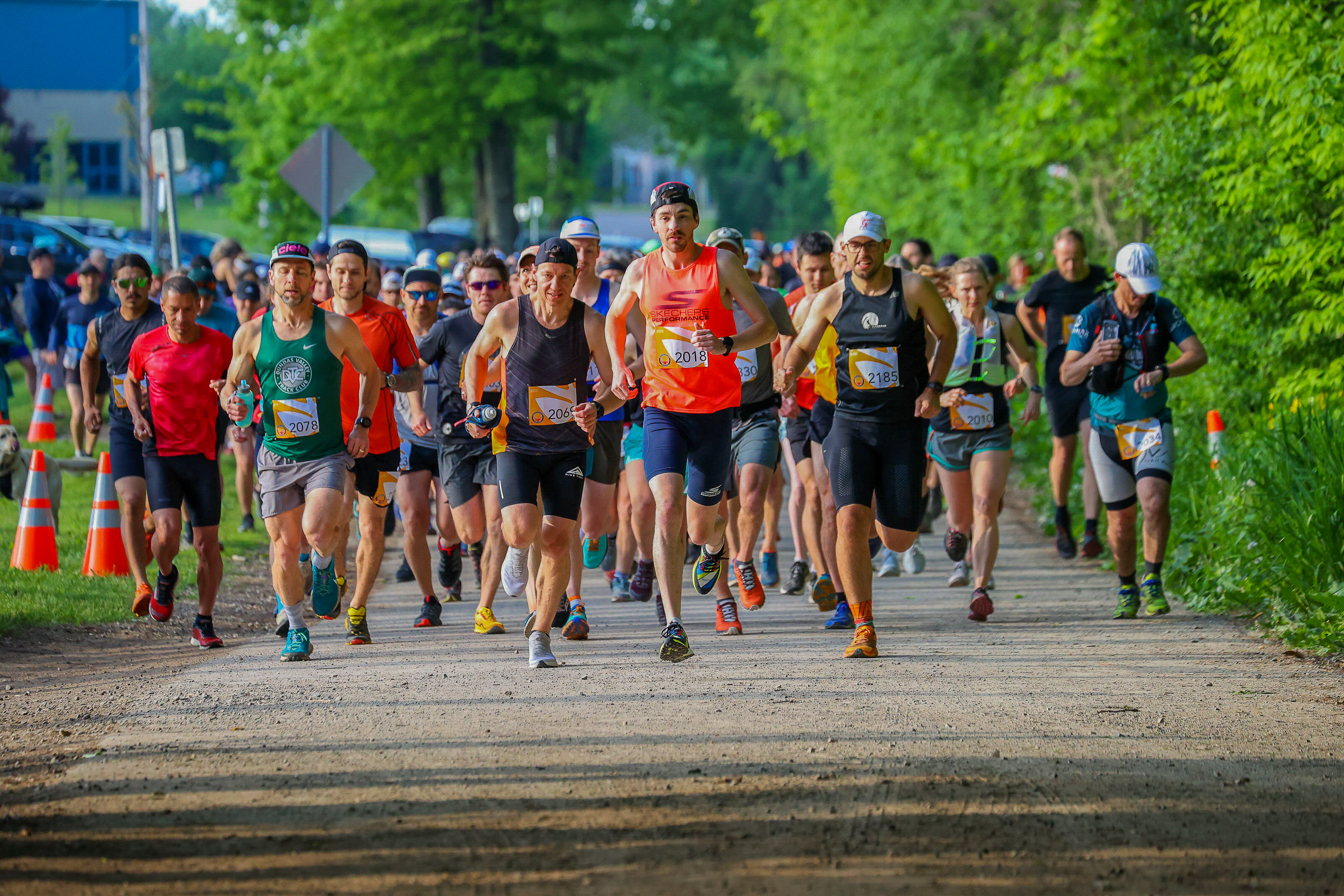 a large group of runners compete in a trail race