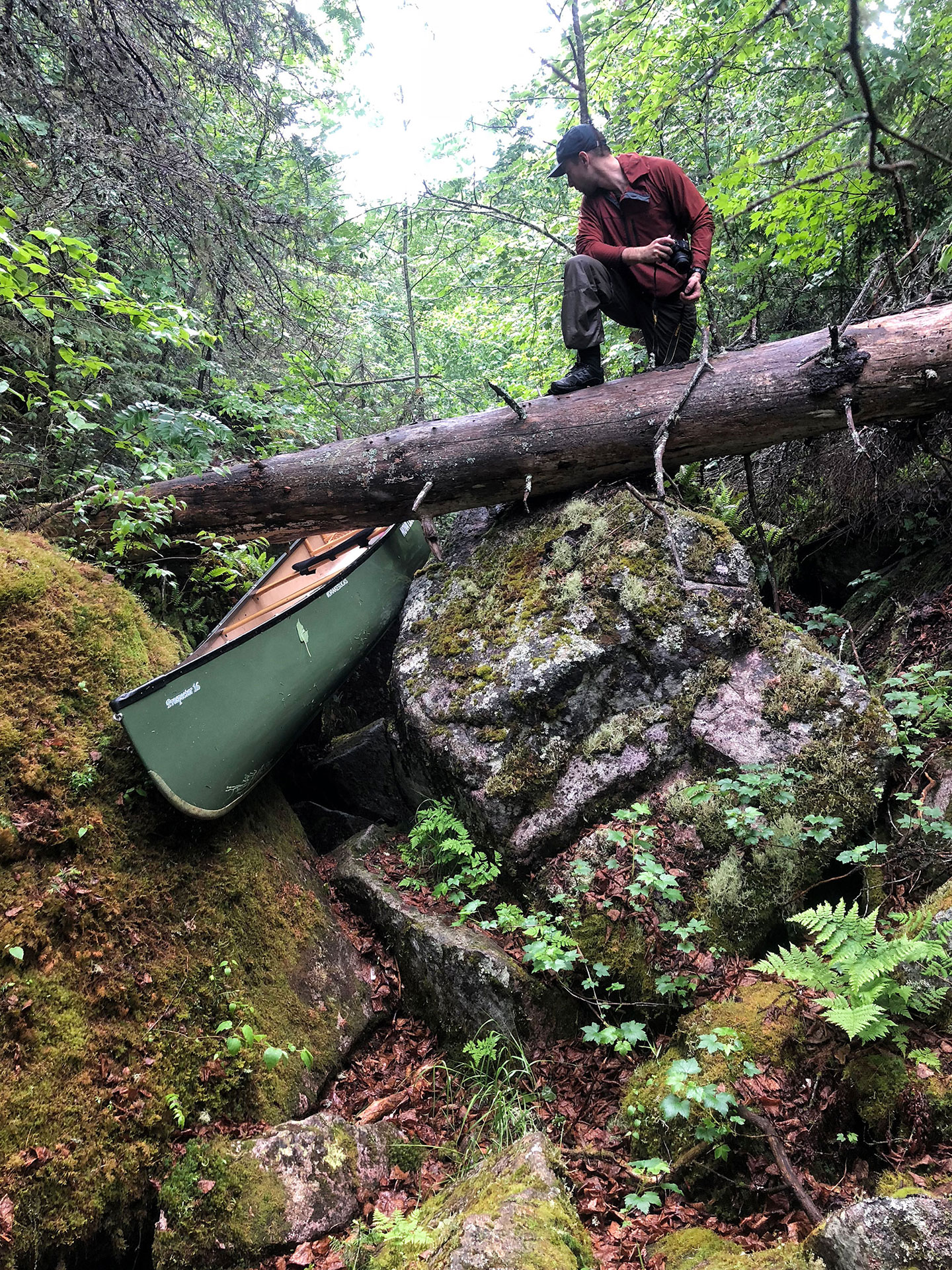 a fallen log makes for a difficult canoe portage