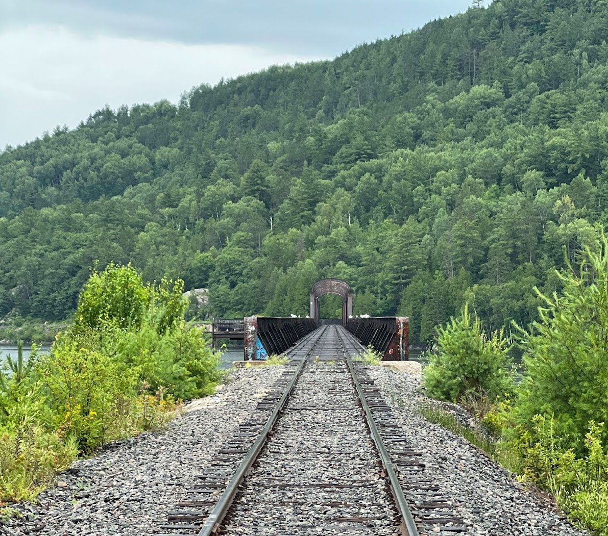 a railroad track extending out into the distance toward a large, lushly forested hill. In the middle of the track is a long railroad bridge of low, flat design with short guard rails. 
