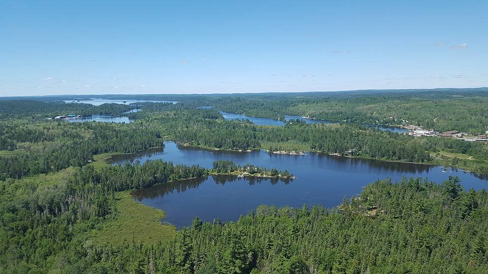 the view from the Temagami Fire Tower; a broad expanse of thick green forest far below, with the blue lake system winding through and as far as the eye can see. The sky is pure blue.