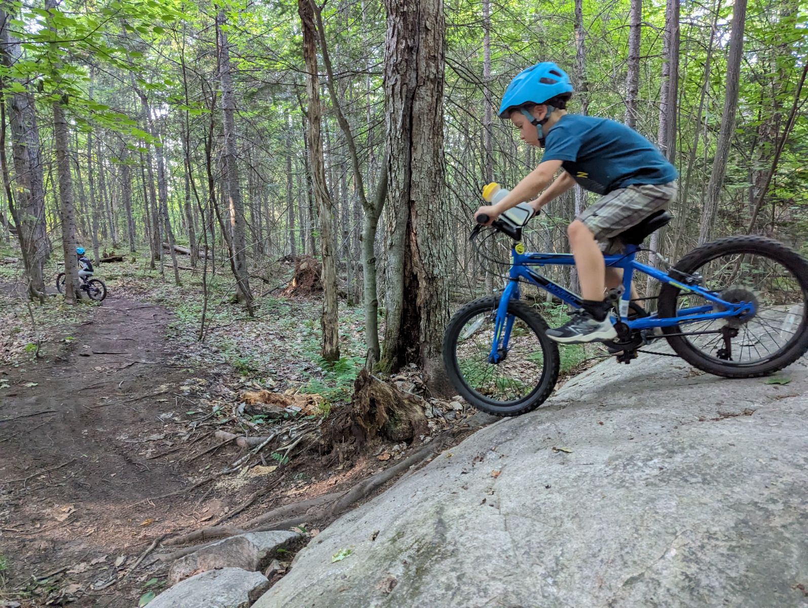 young child rides off a boulder along a forest mountain bike trail