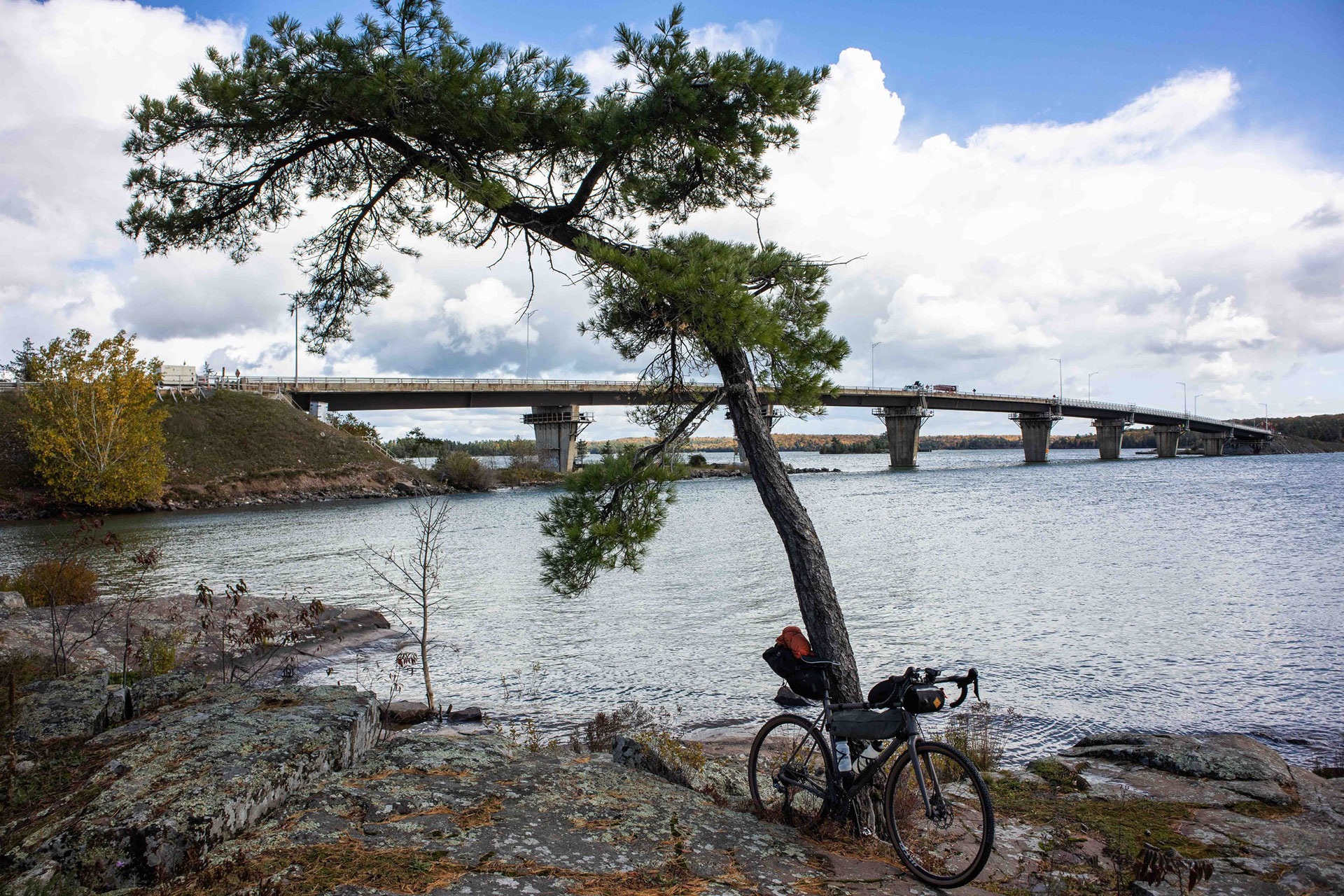 bike proped against a pine tree in front of a bridge to St Joseph Island