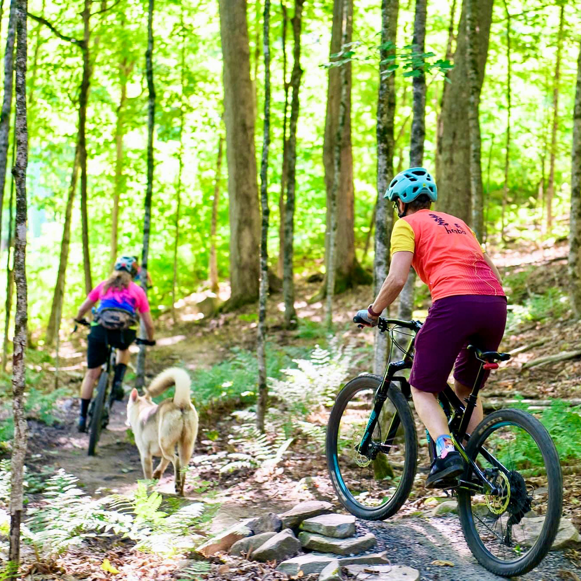 two women and a dog ride along a forest bike trail