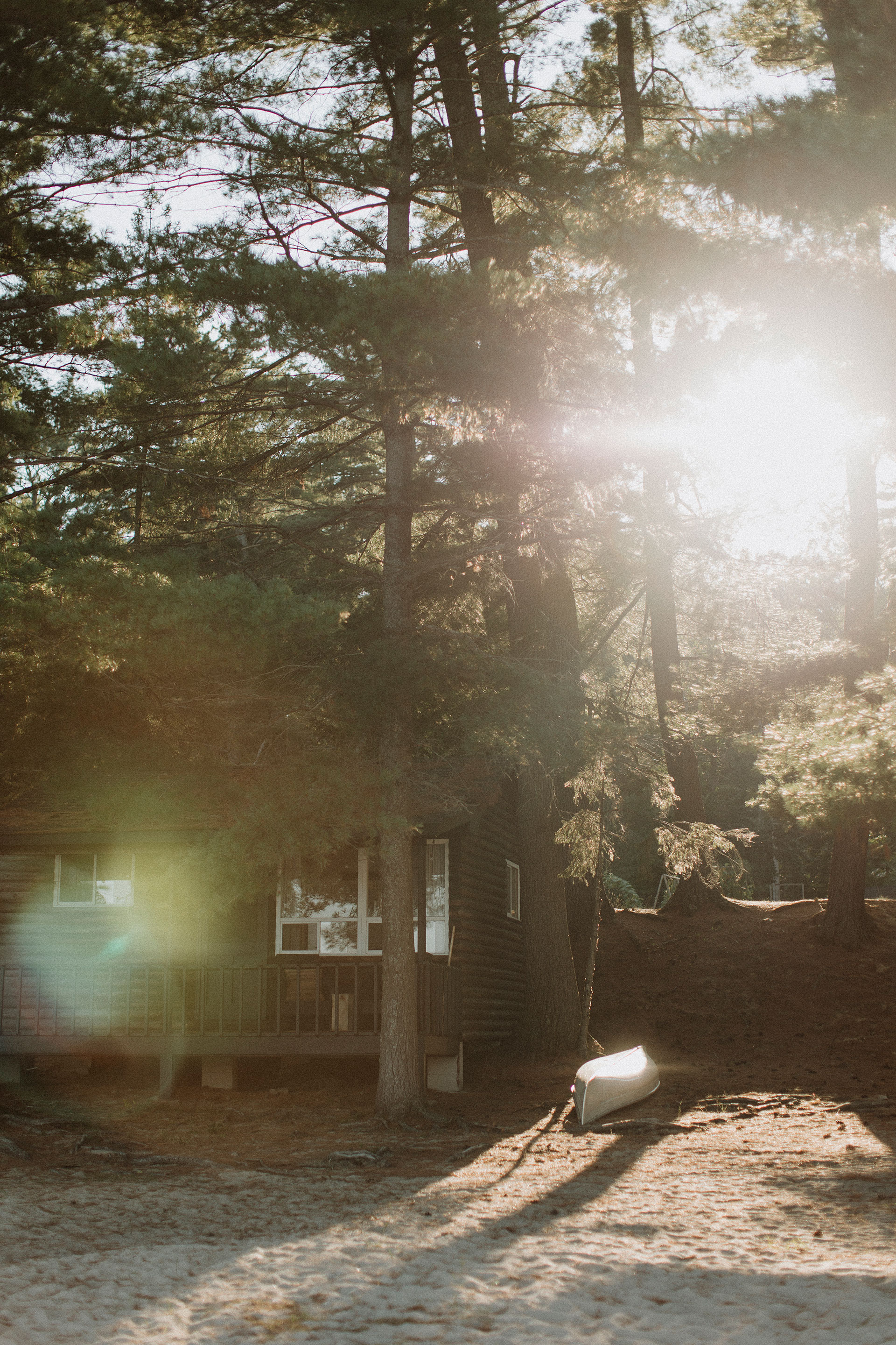 sun shines through trees by a rustic cabin with beached canoe