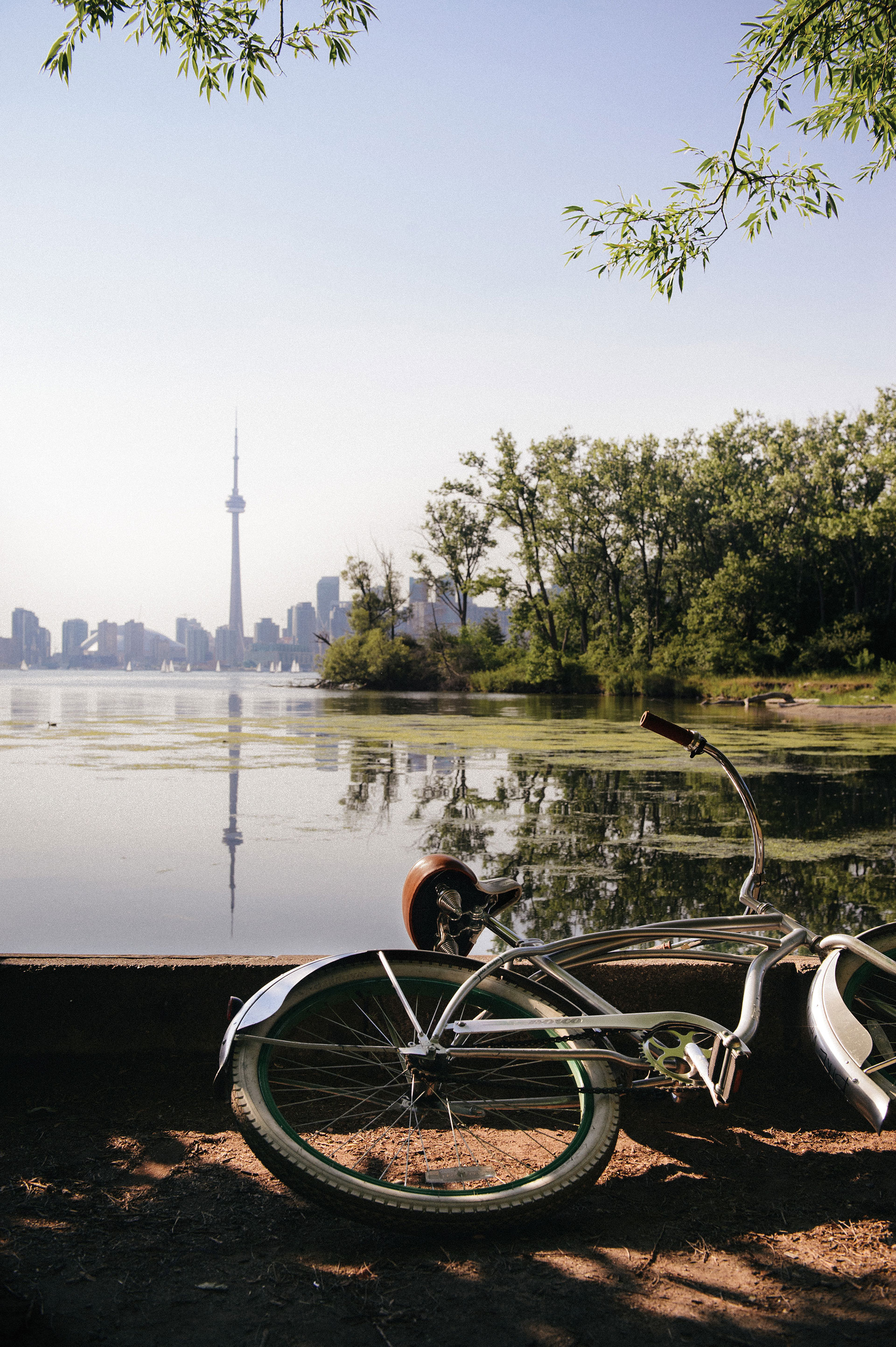 a bike leaning agains the ground on the Toronto Islands, with CN tower and city skyline in background