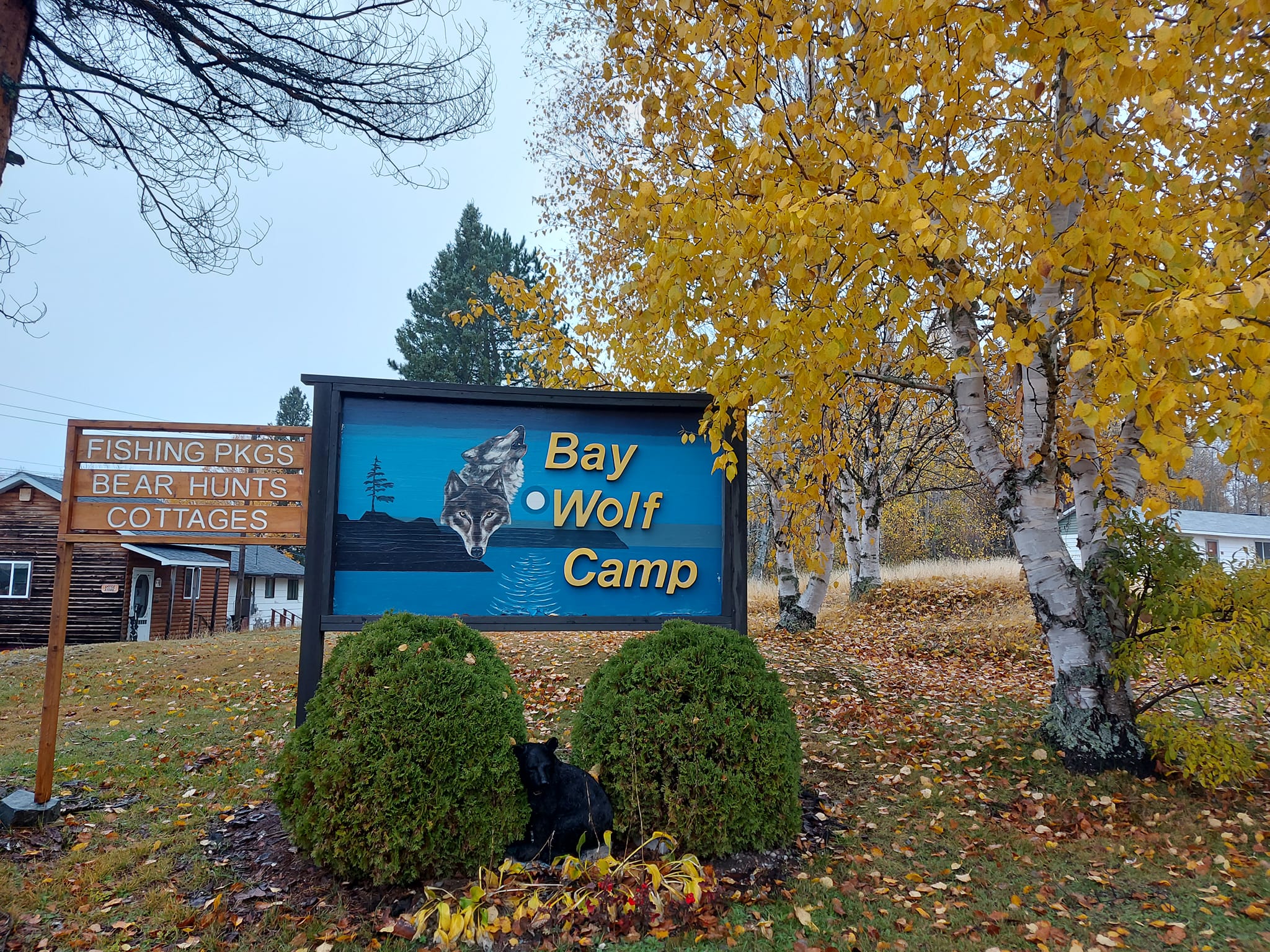 a blue painted sign that reads 'Bay Wolf Camp', surrounded by bushes and yellow autumn trees.