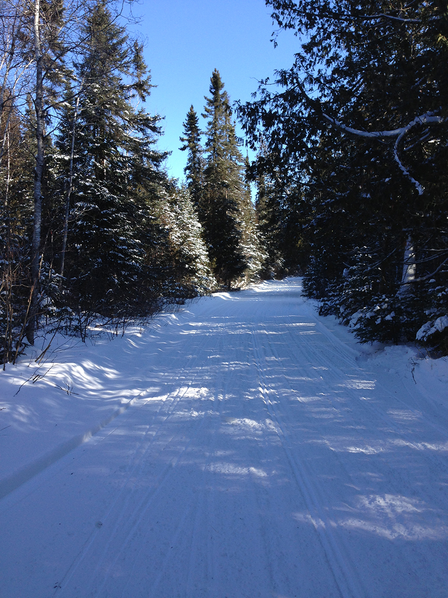 an empty, forested snowmobile trail on a sunny winter day