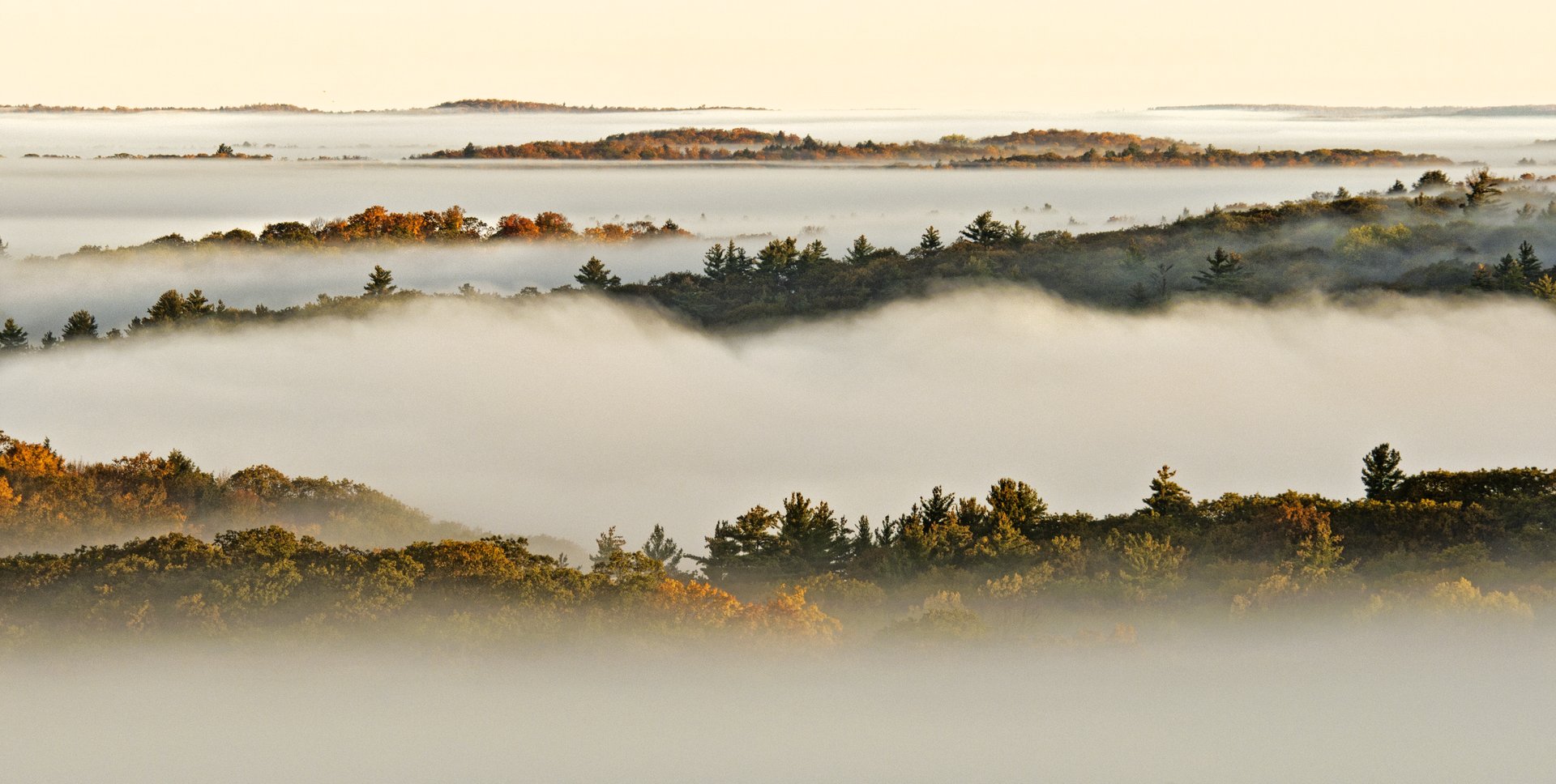 Aerial view of fog covering the hills and fall colour in Algonquin Park