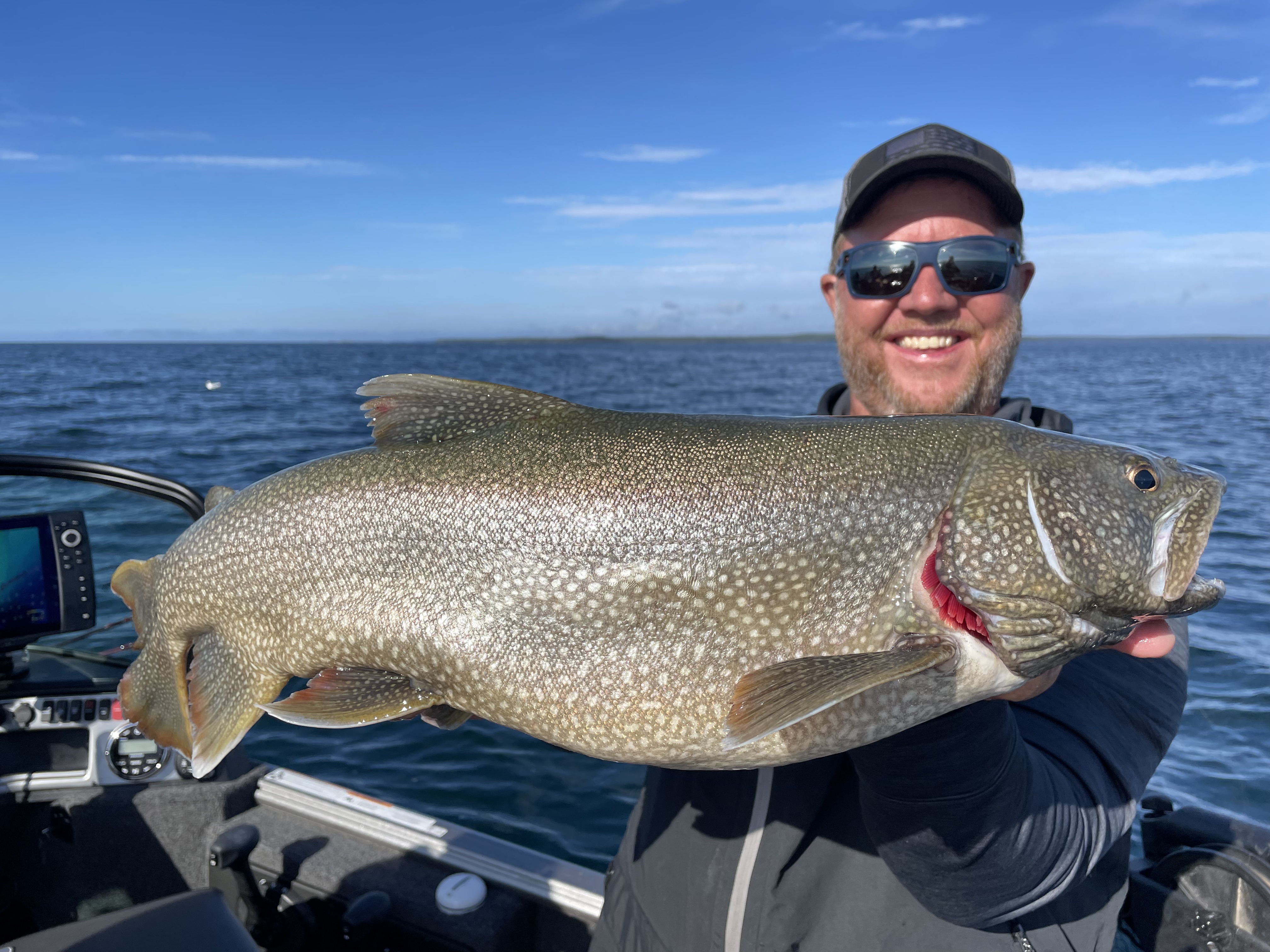 Superior Country Trout