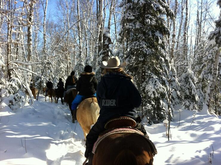a line of several people riding single file on horseback through a snowy forest trail on a bright sunny day